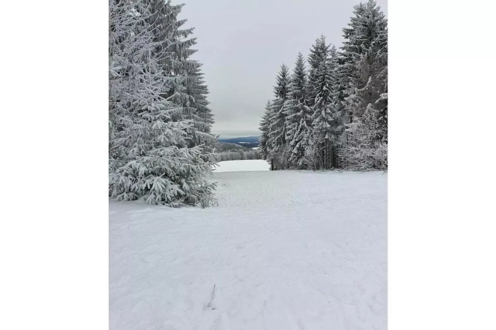 Björn-Gebied winter 20km