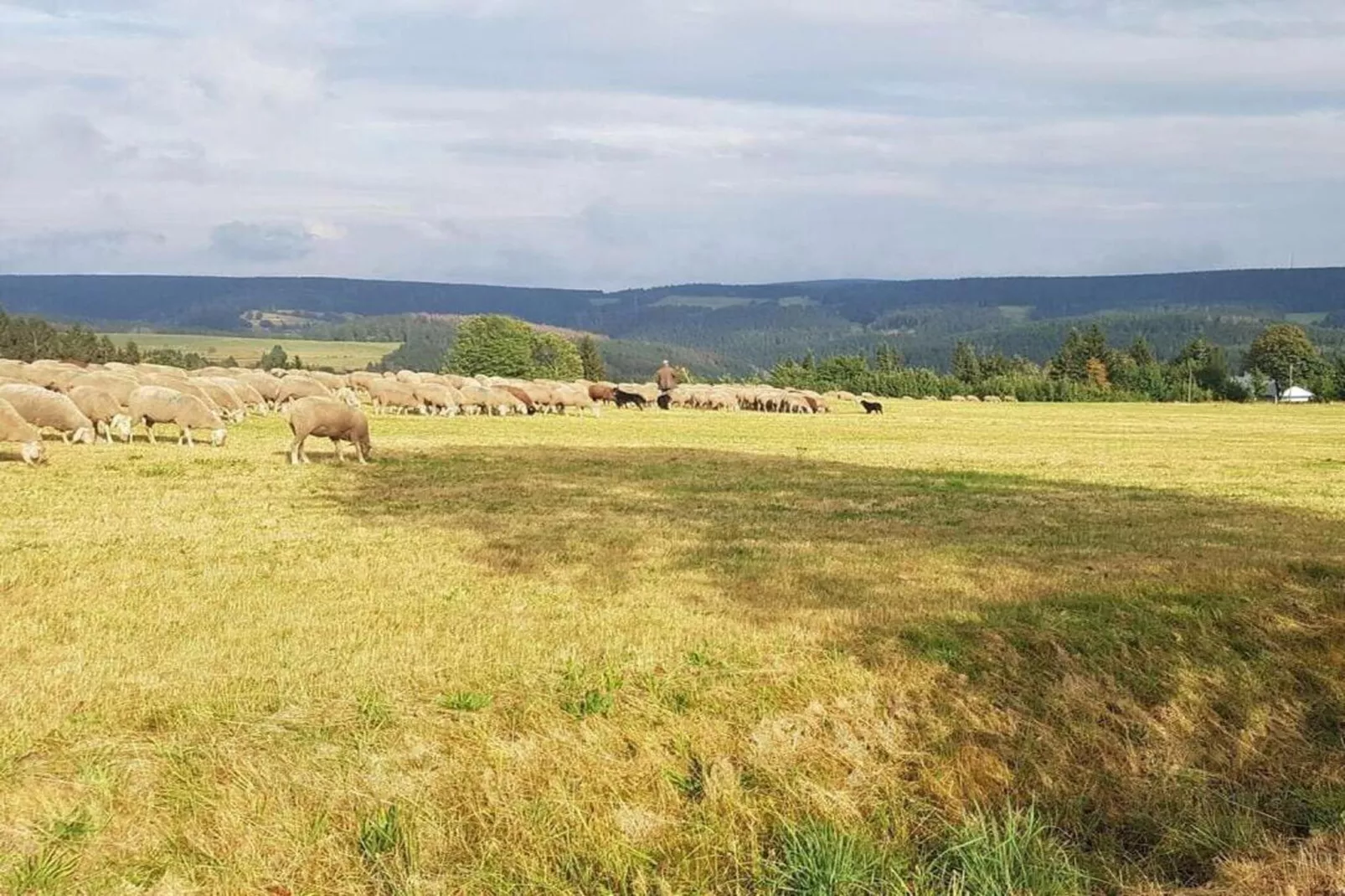 Ferienwohnung Schönbrunn-Gebieden zomer 20km