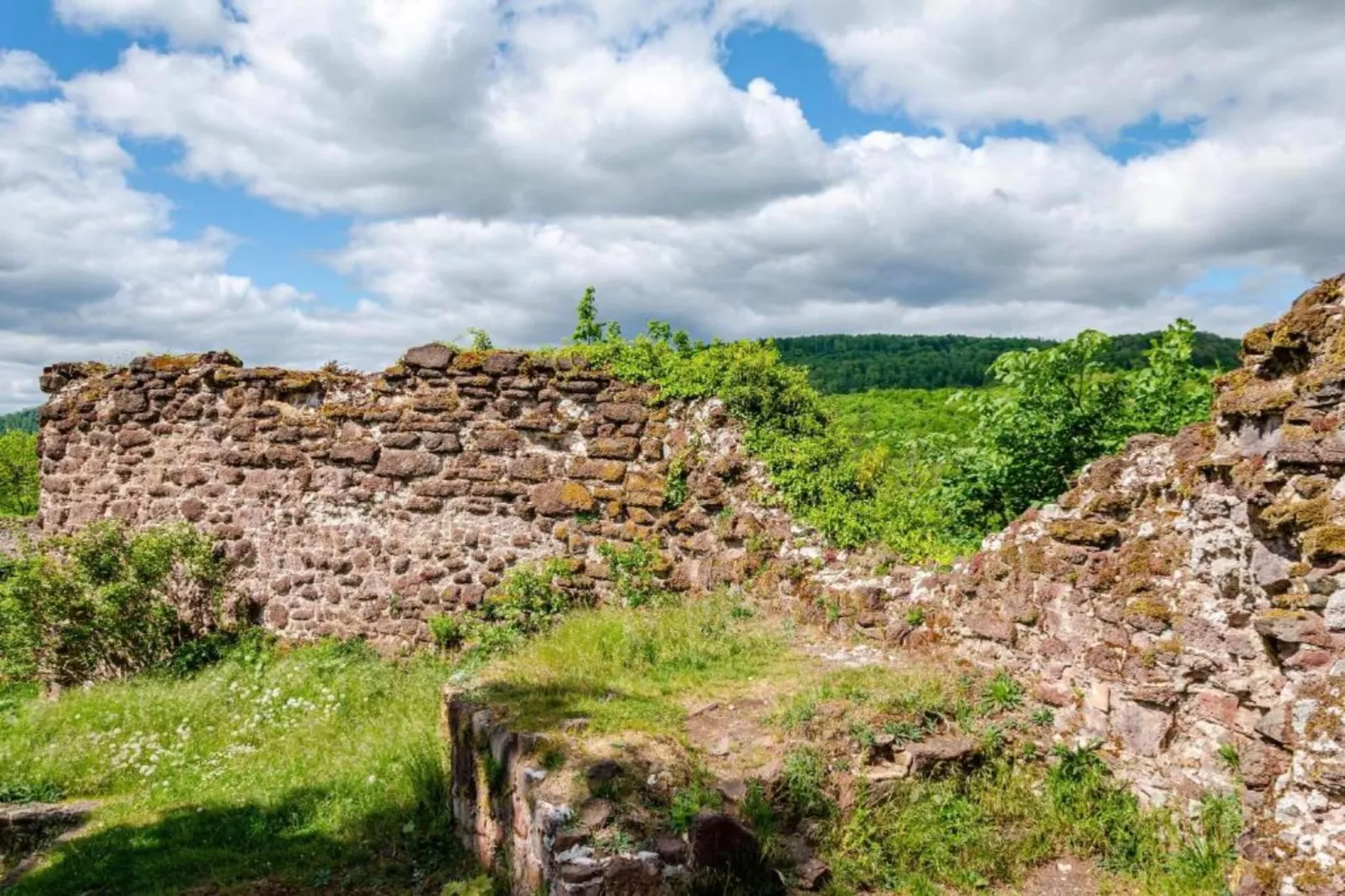 Neustadt 1-Gebieden zomer 5km