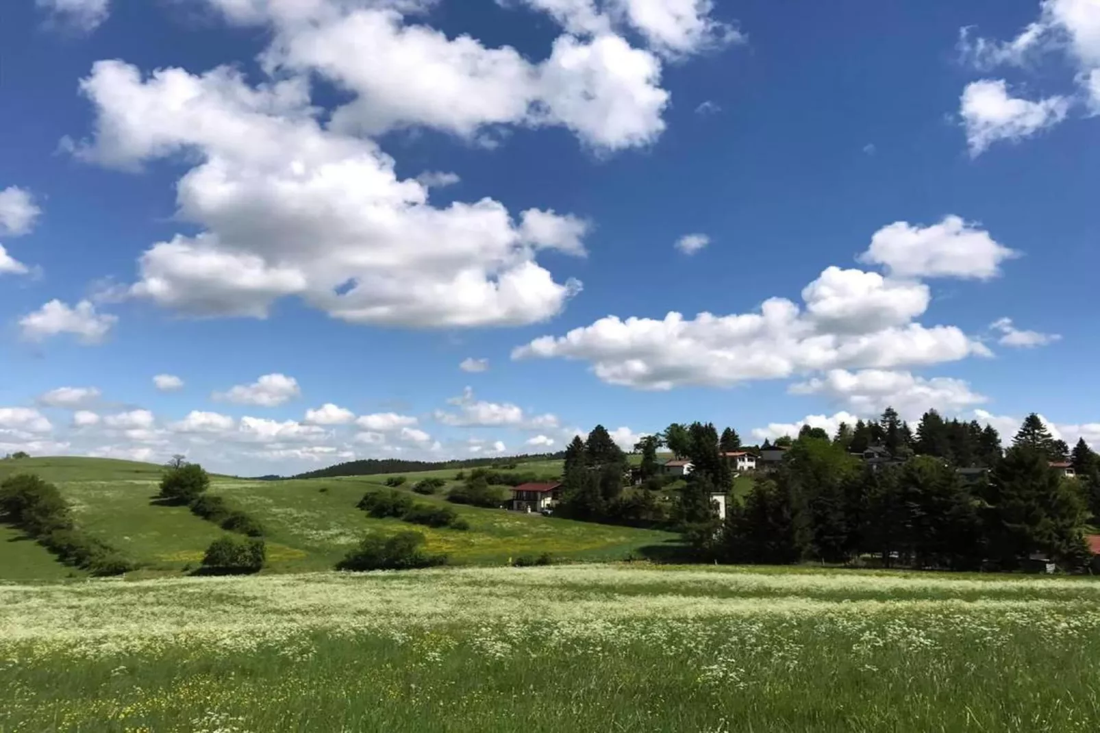 Thüringer Wald-Gebieden zomer 20km