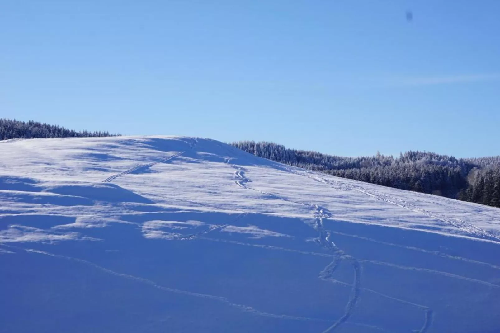 Ferienhaus im Thüringer Wald-Gebied winter 5km