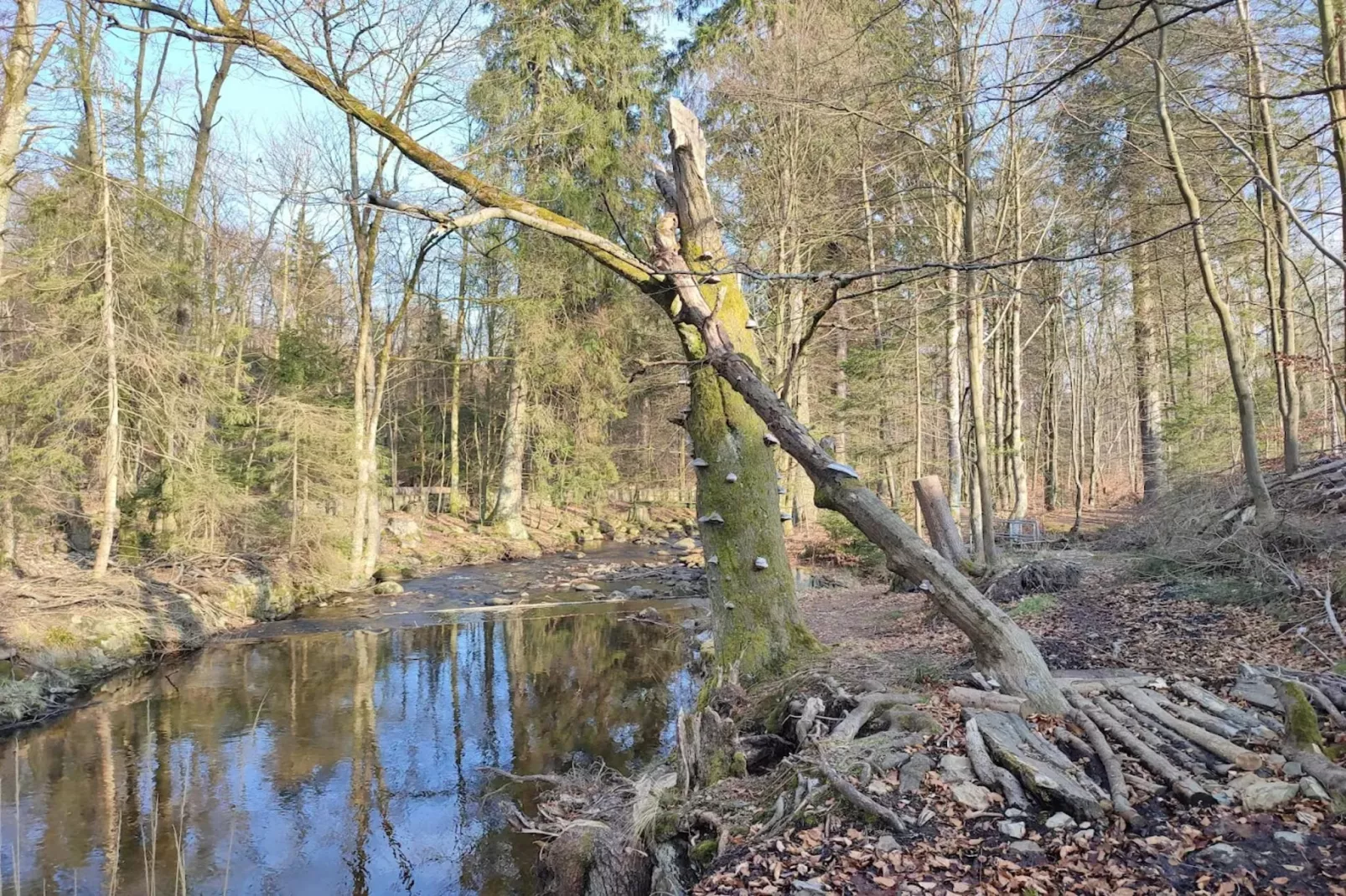 ExclusivLodge - 8 Pers-Gebieden zomer 5km