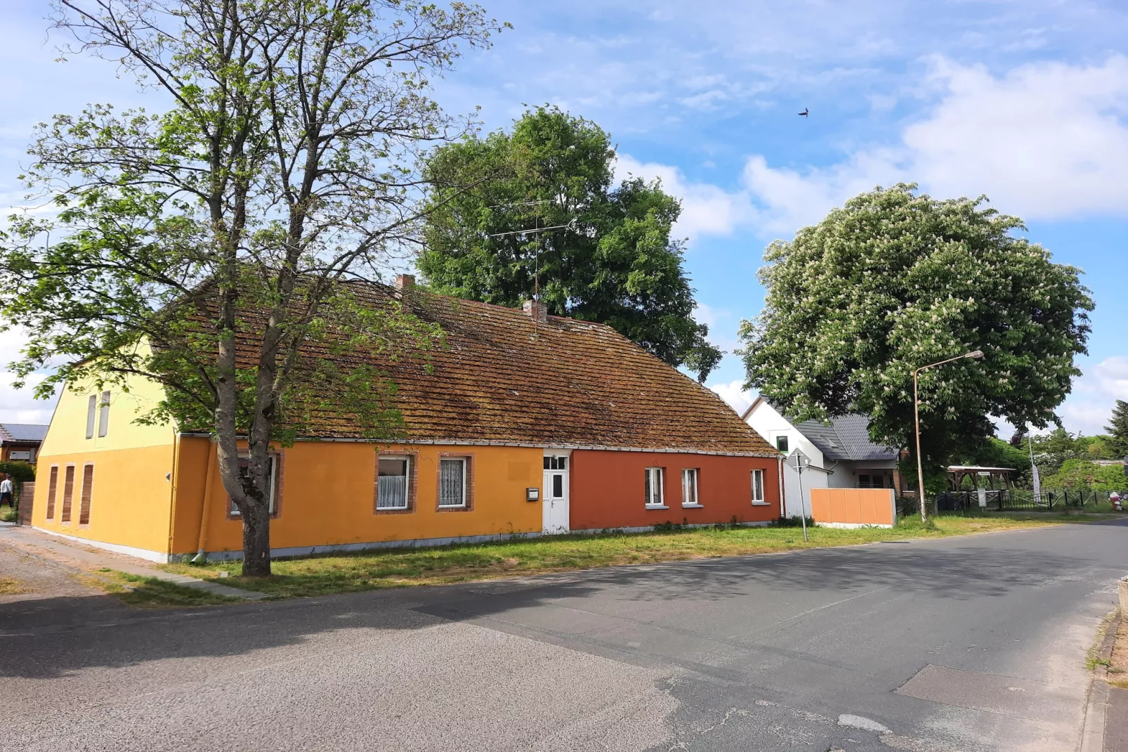 Bungalow 4 Rheinsberg-Gebieden zomer 1km