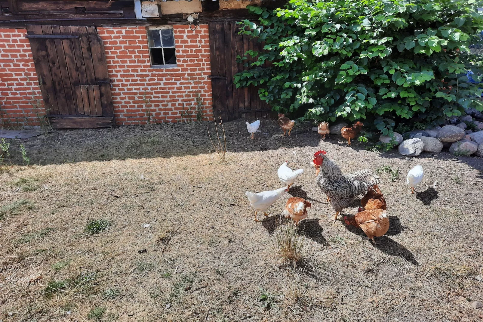 Bungalow 5  Malchow-Gebieden zomer 1km