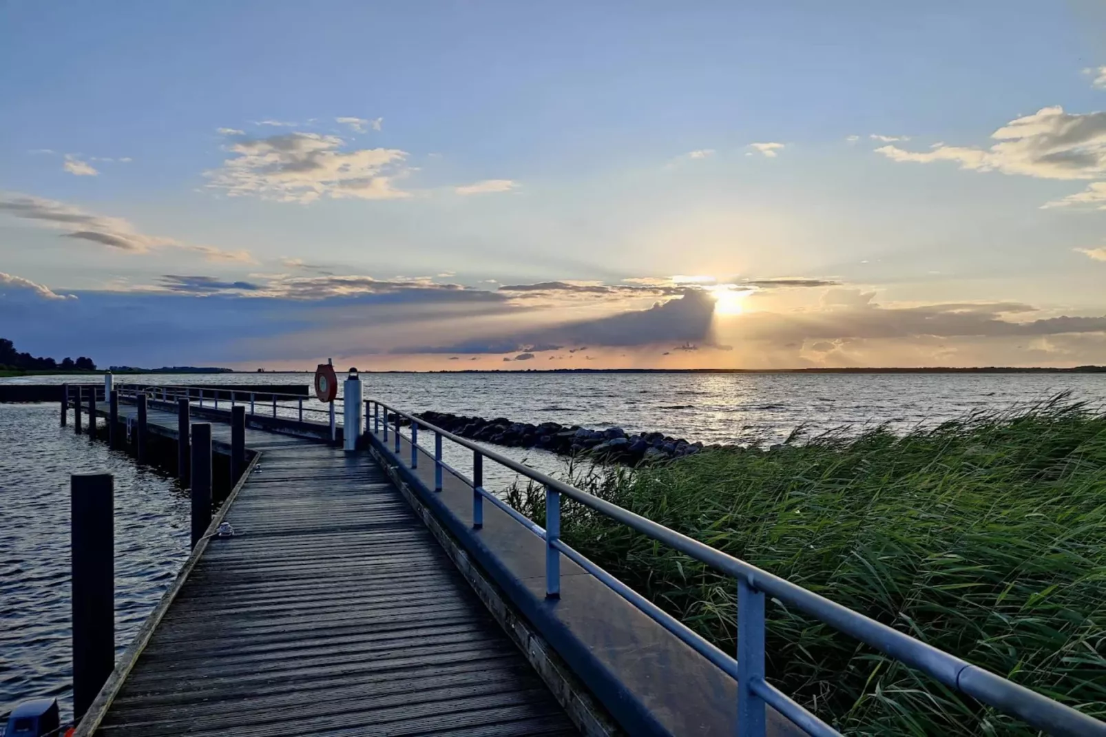 Seeschwalbe10-Gebieden zomer 1km