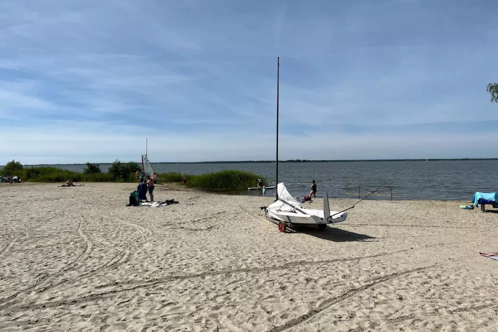 Seeschwalbe 60-Gebieden zomer 5km