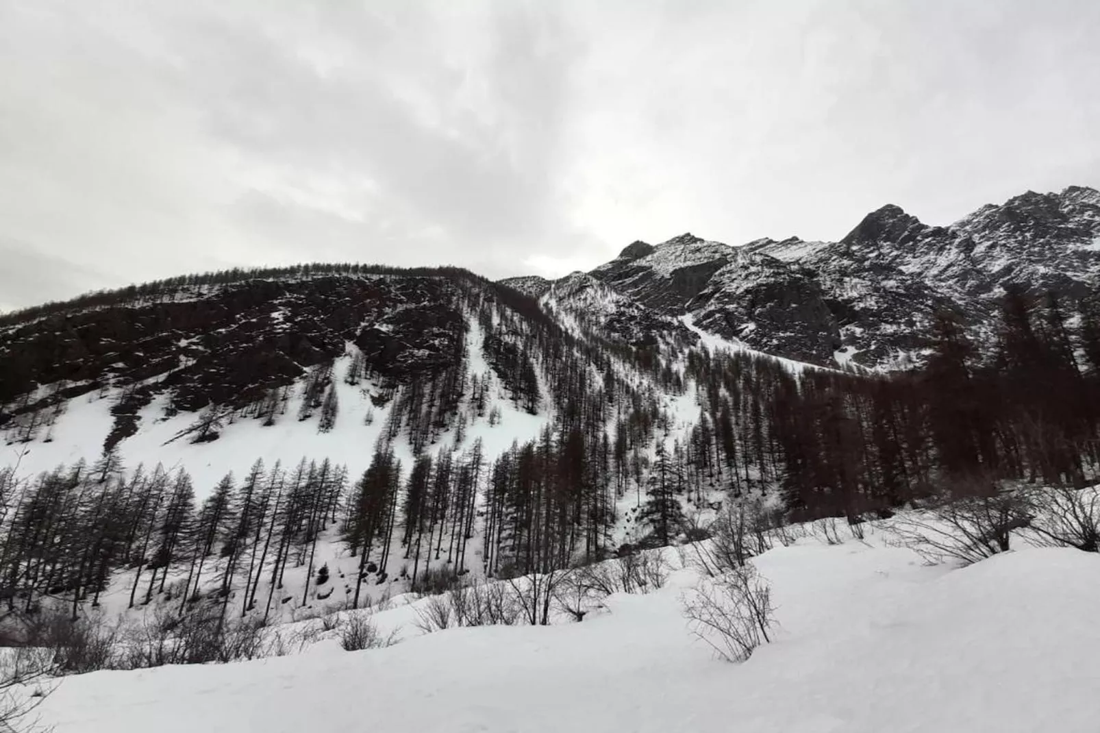Résidence Aquisana 1-Gebied winter 20km