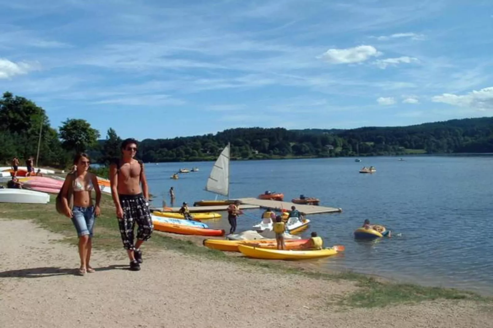 Maison de vacances - St Pierre Sur Doux-Gebieden zomer 20km