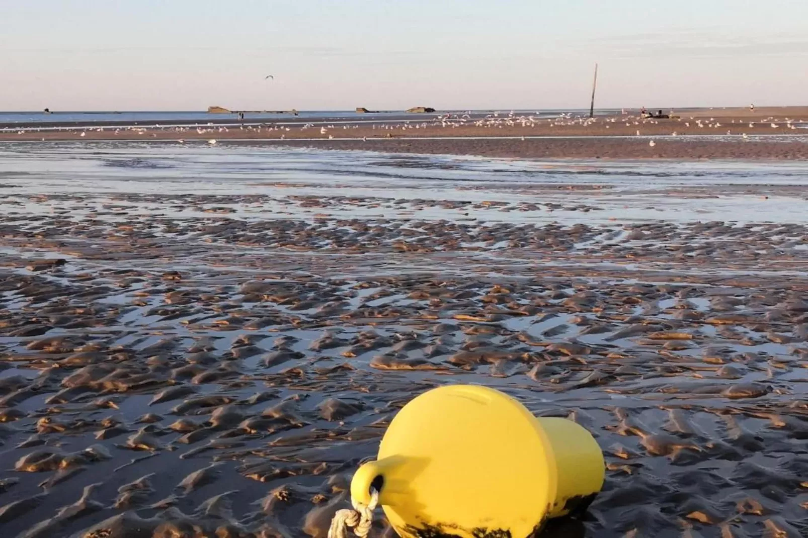 LA MAISON BLEUE/ TAILLEPIED-Gebieden zomer 20km
