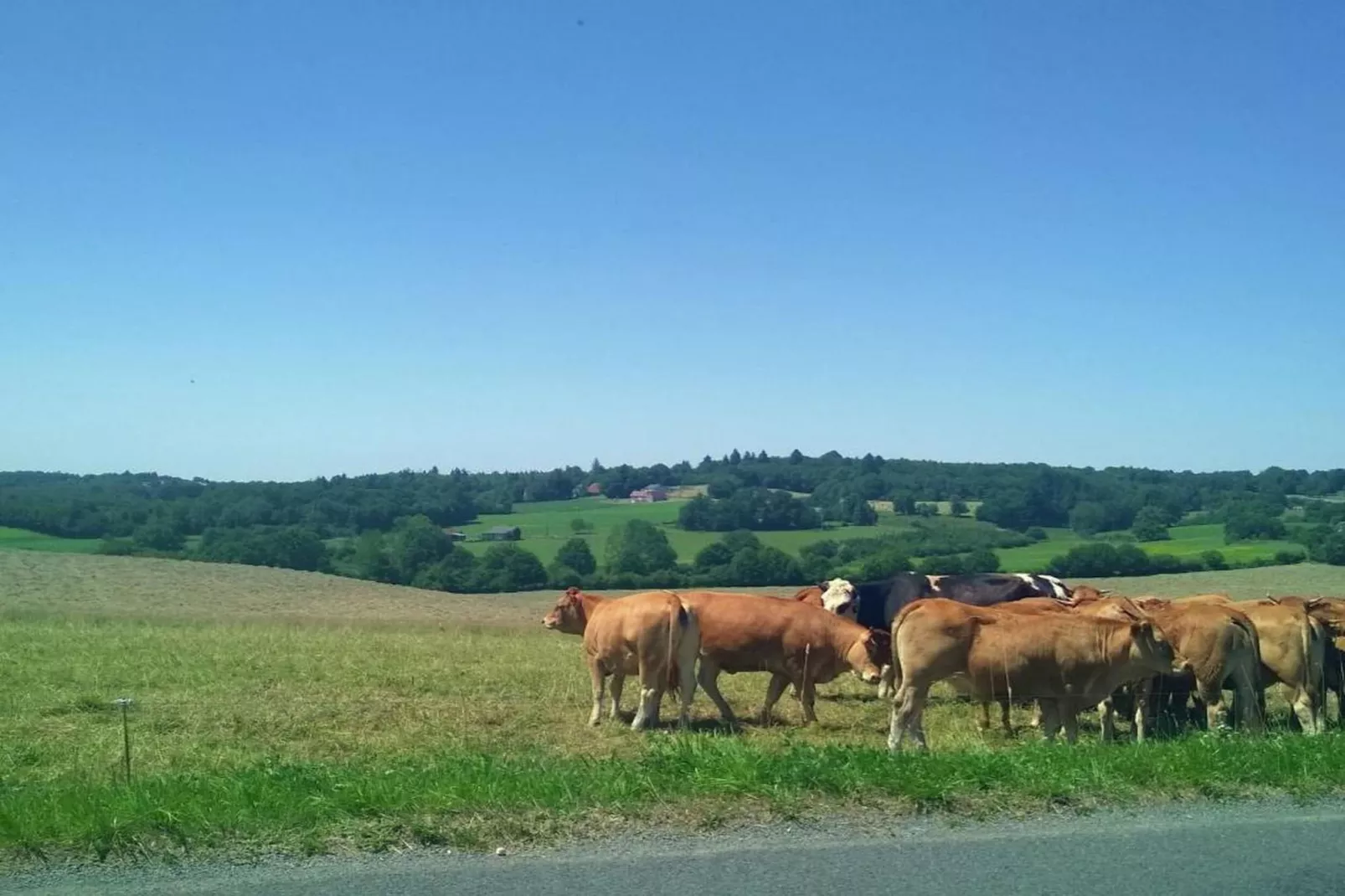 Le Haut Chambon-Gebieden zomer 20km