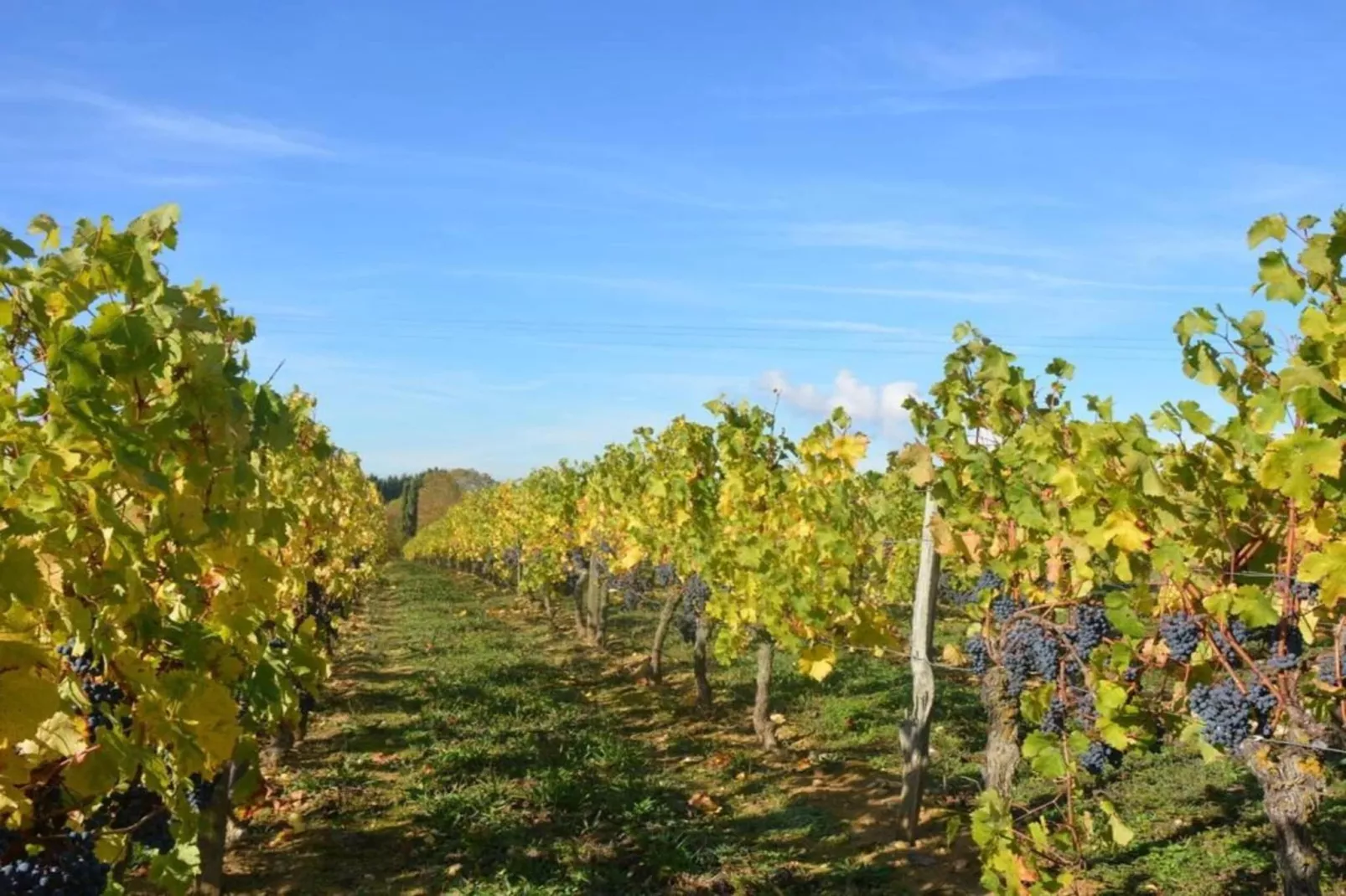 Maison de vacances Beaumont en Véron-Gebieden zomer 20km