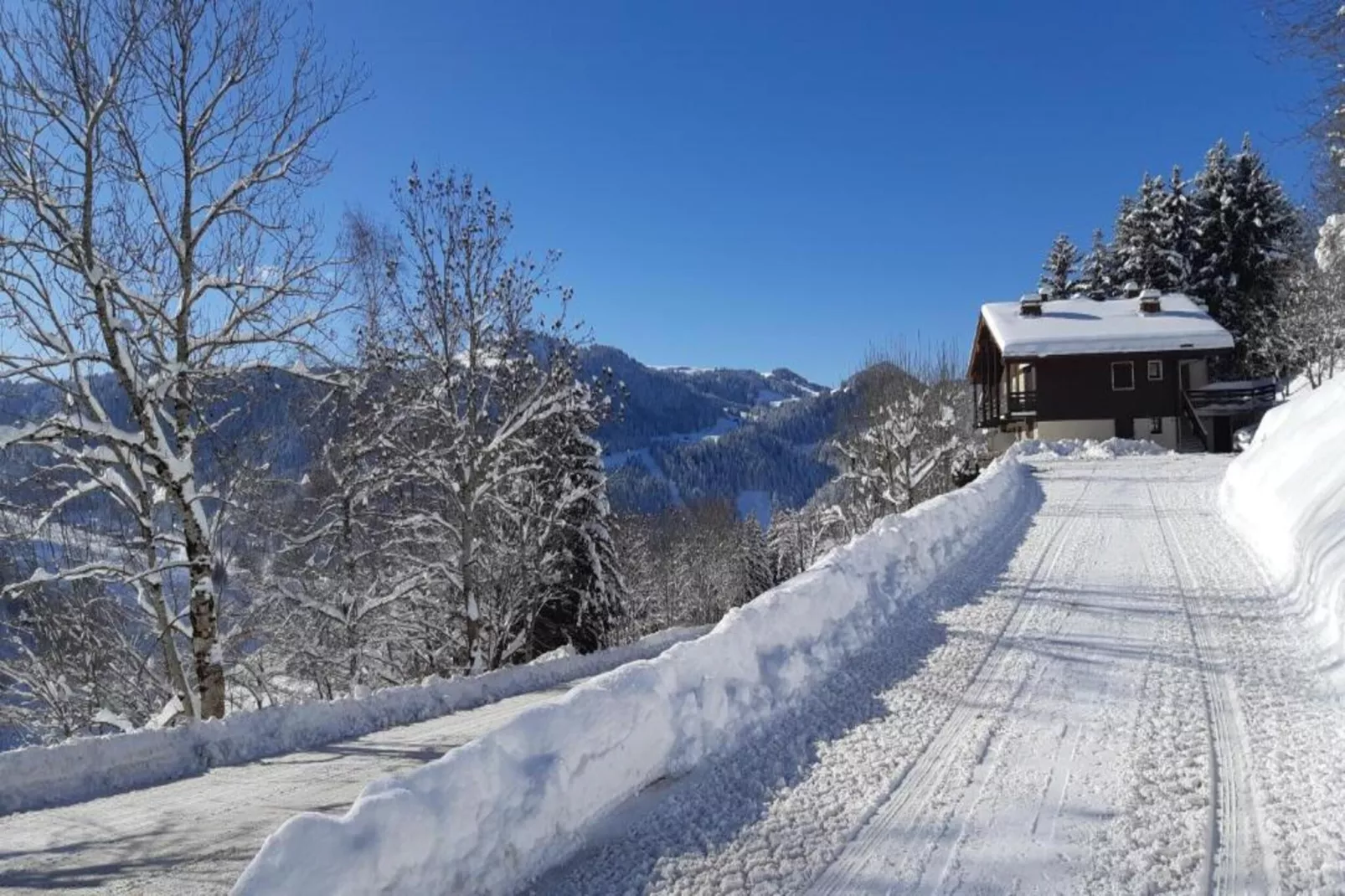 Résidence Prestige Mendi Alde 2-Gebied winter 20km