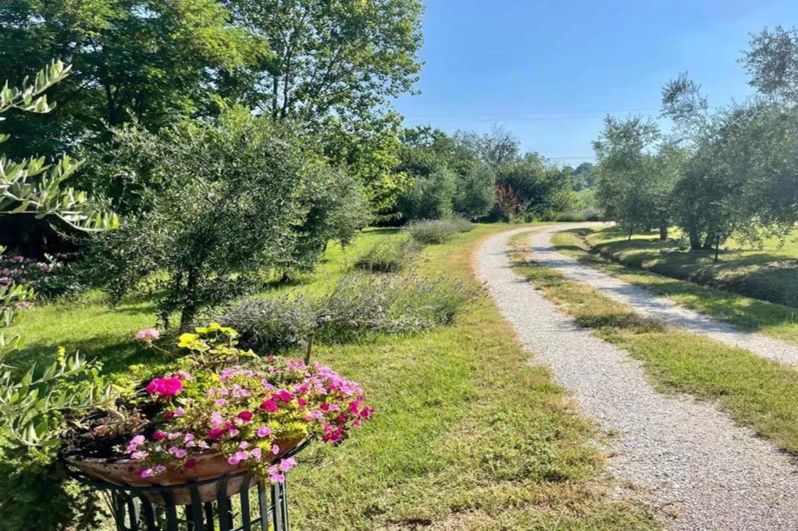 Campo Quattro-Gebieden zomer 20km