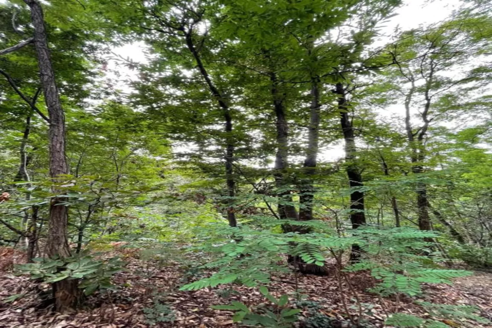 Le Do None Due-Gebieden zomer 20km