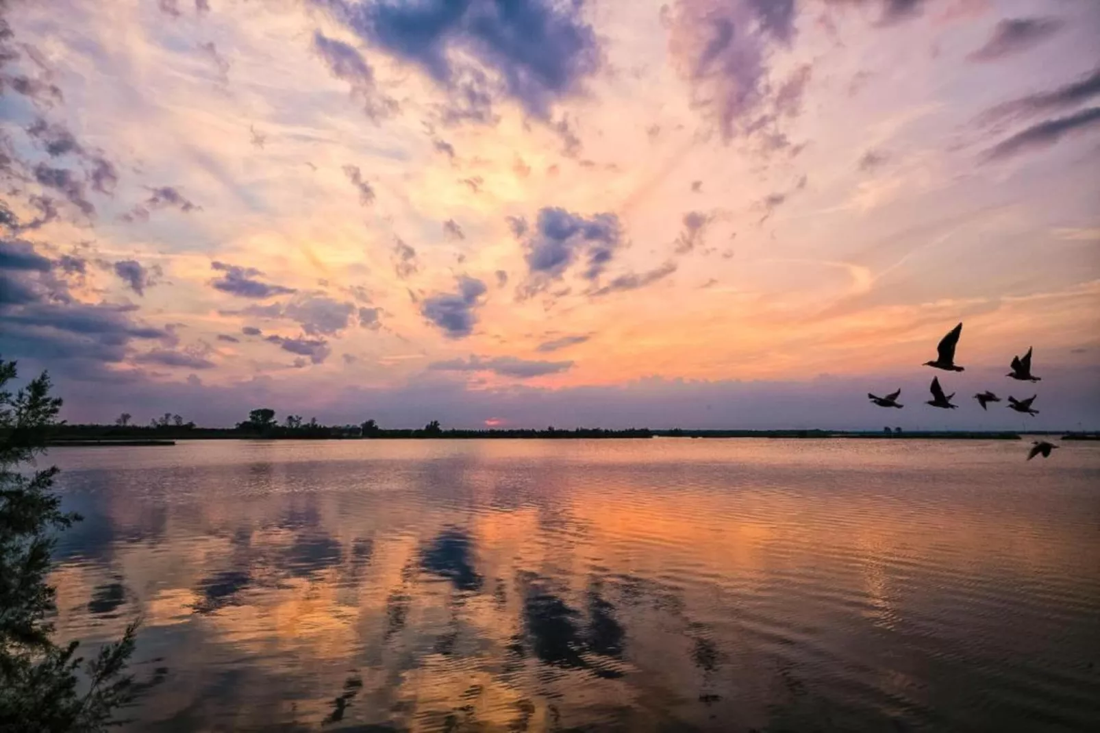 Ceseta 3-Gebieden zomer 1km