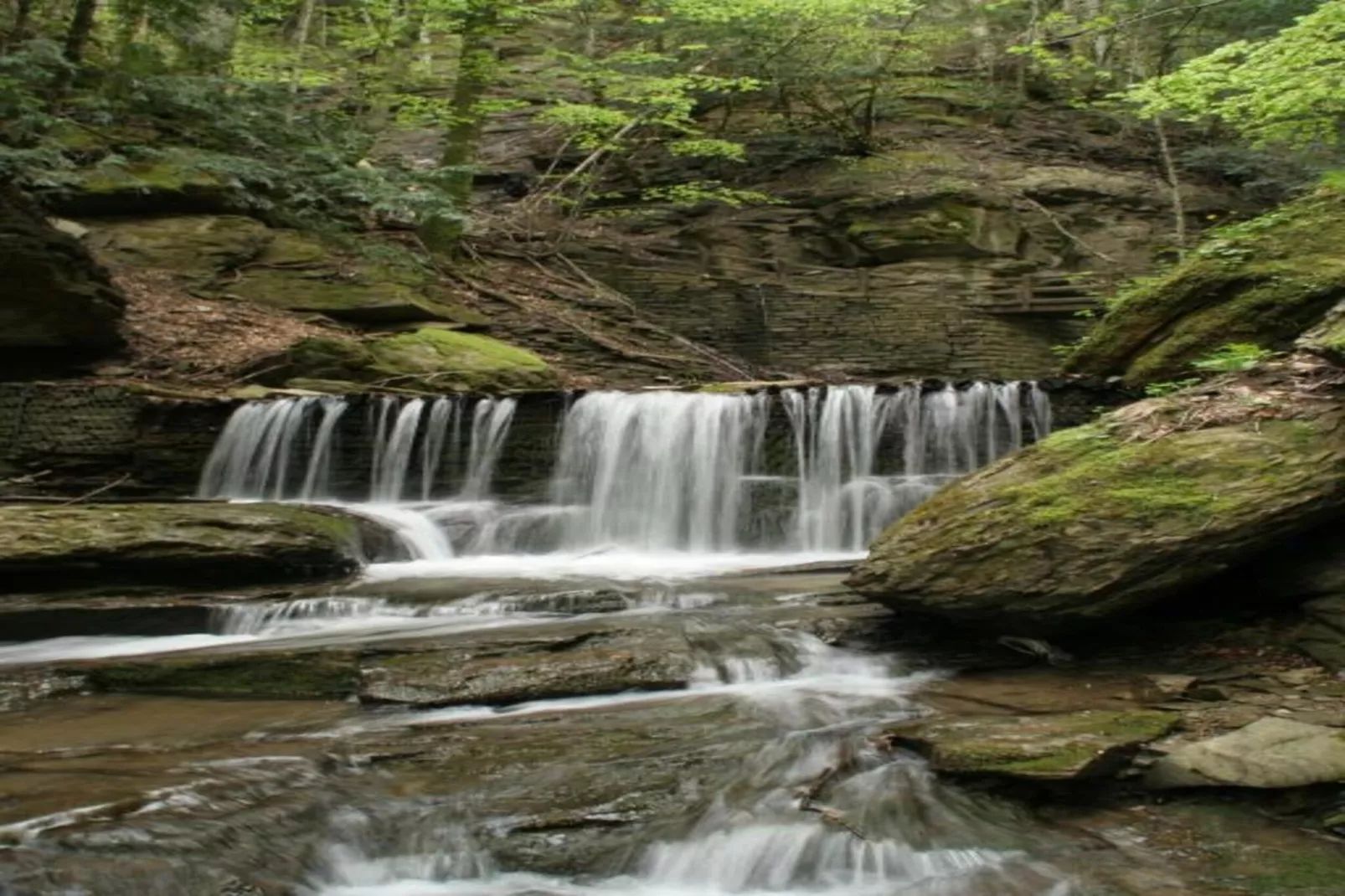 Sangiovese-Gebieden zomer 20km