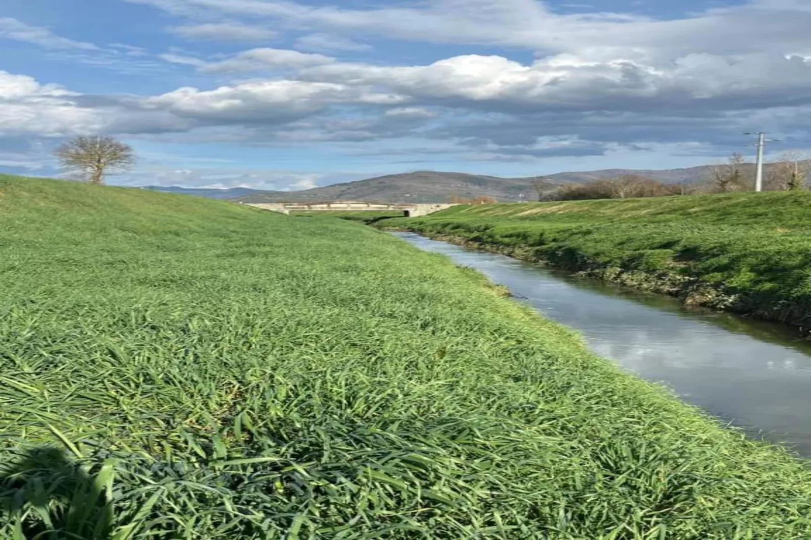 Orchidea-Gebieden zomer 20km