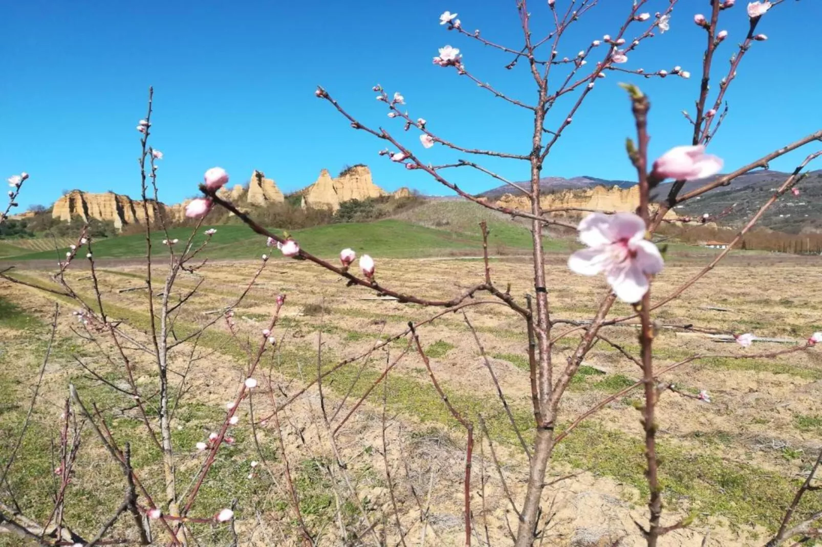 Podere Pulicciano Orciaia-Gebieden zomer 5km