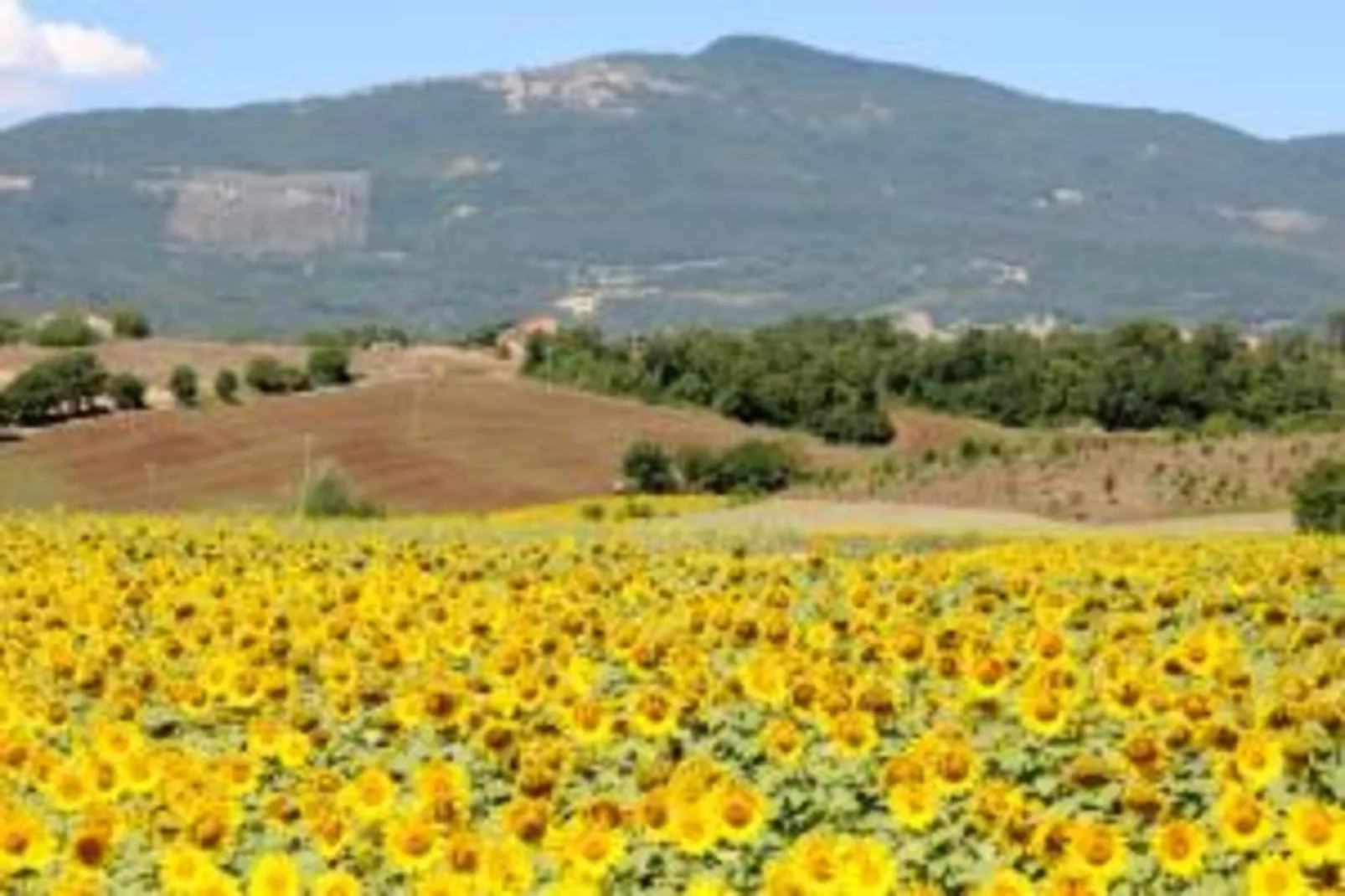 Poggio Casale-Gebieden zomer 20km