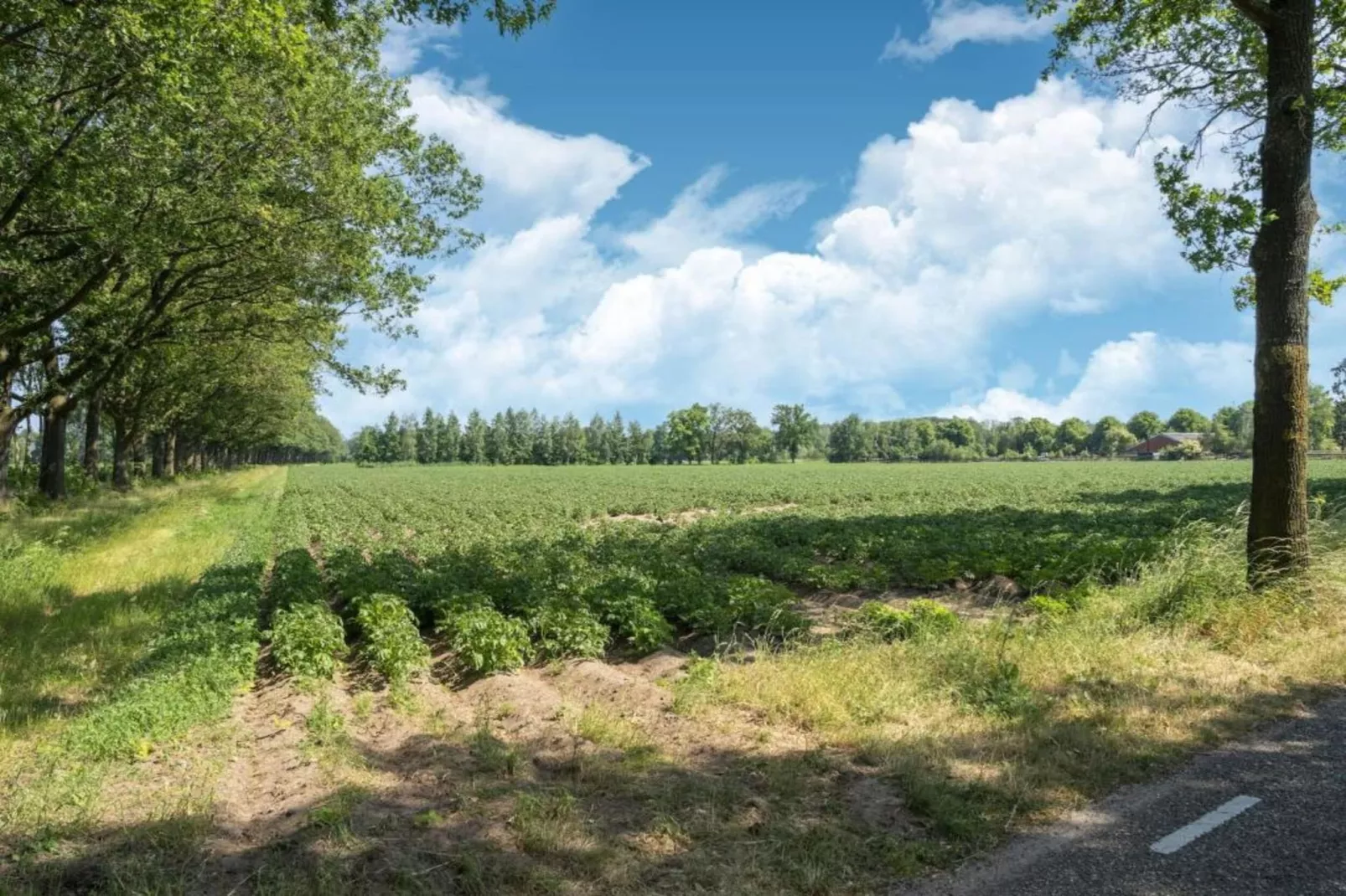 Erve Tank-Gebieden zomer 20km