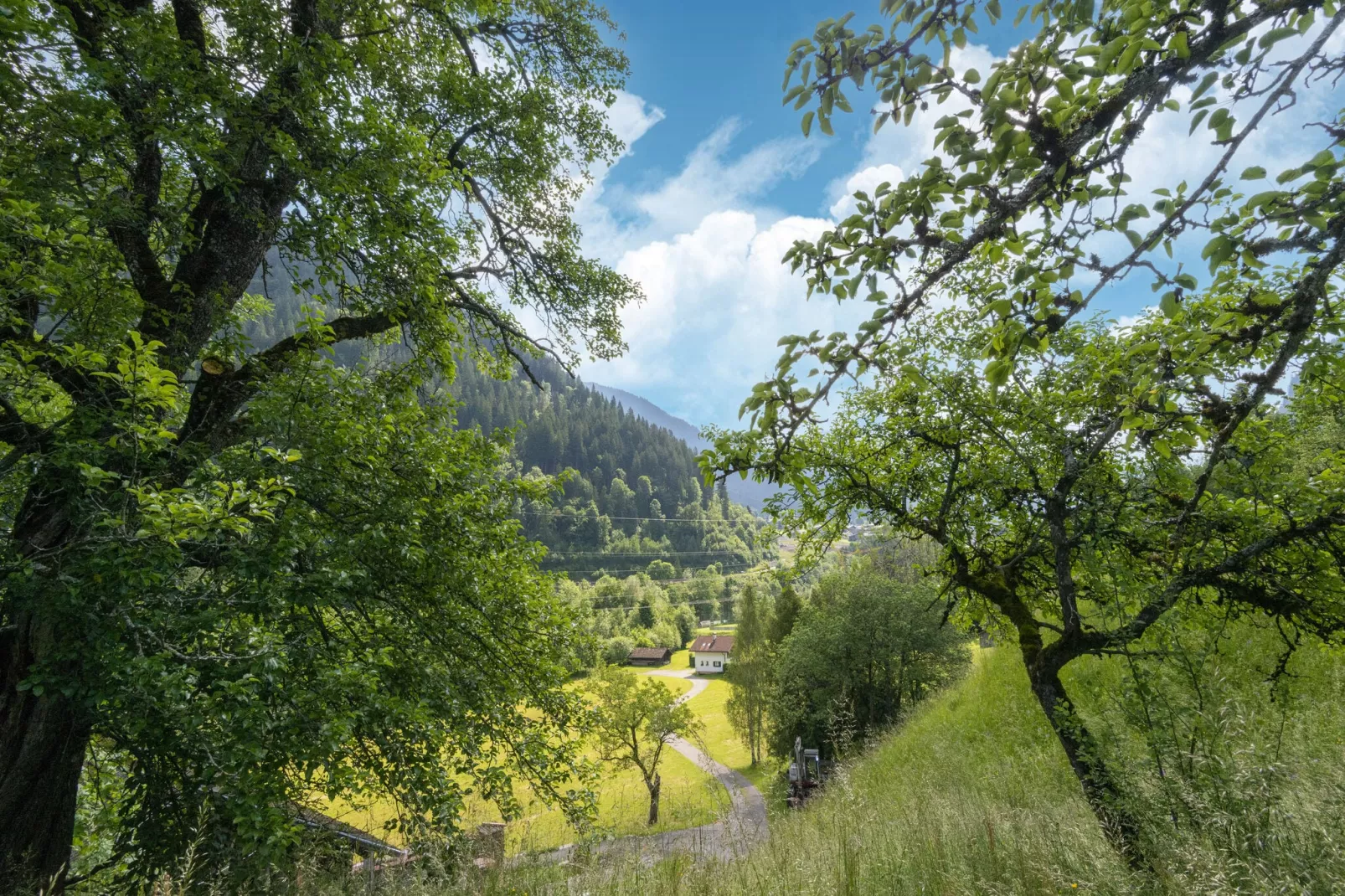 Haus Lukan Groß-Uitzicht zomer