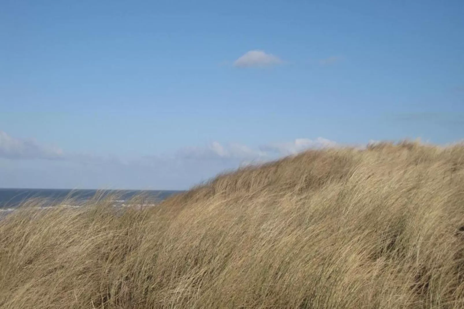 Ferienwohnung Oostkapelle Zeeland M53-Gebieden zomer 20km