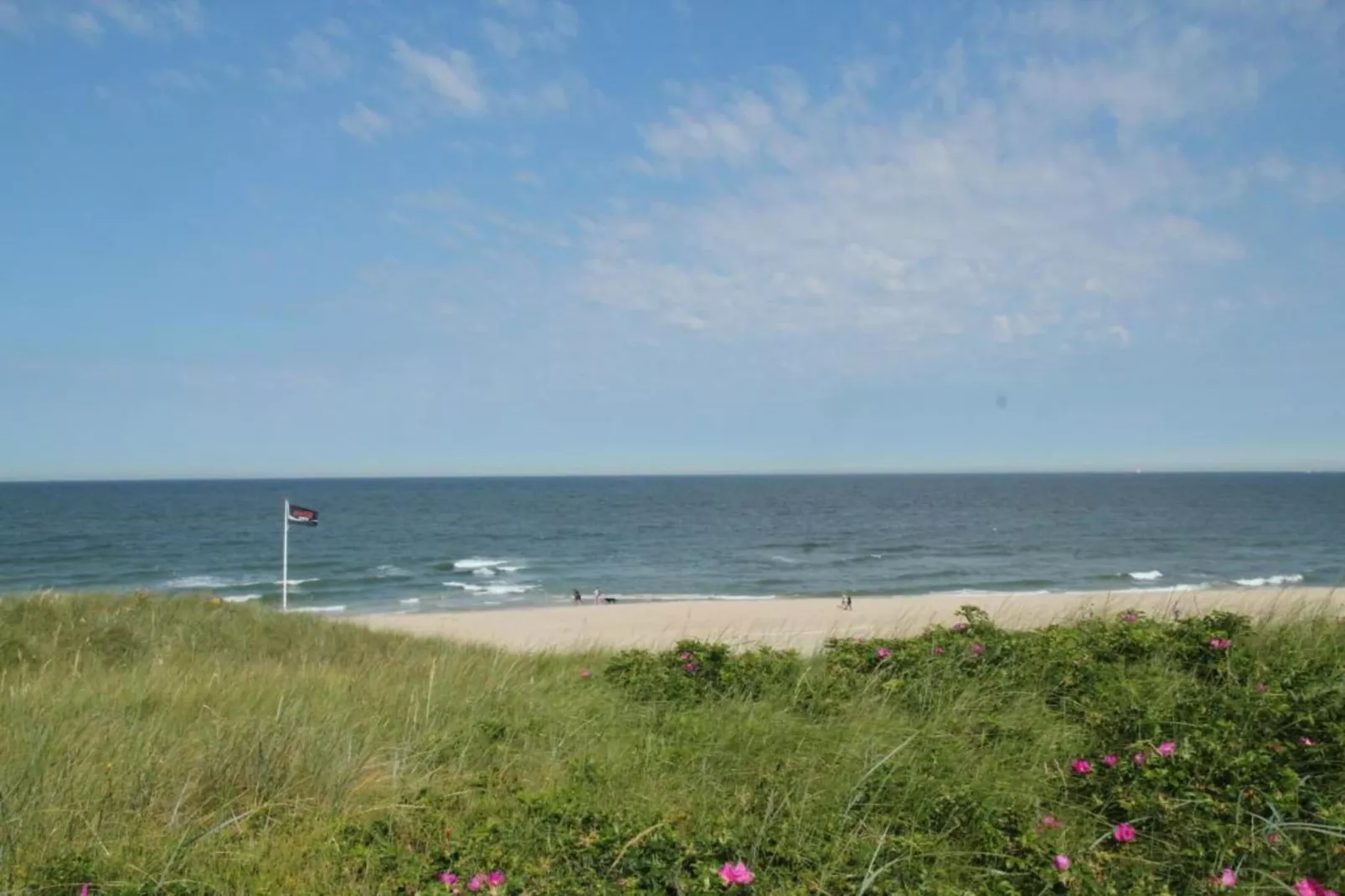 Quality Lodge aan de Duinen-Gebieden zomer 20km