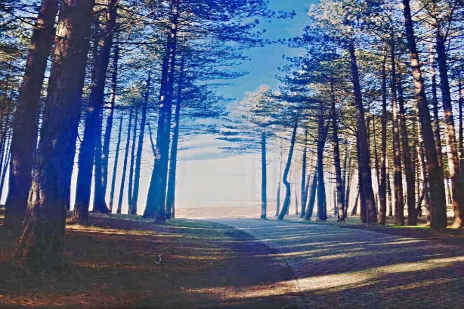 Huize Glory Topaas-Gebieden zomer 20km