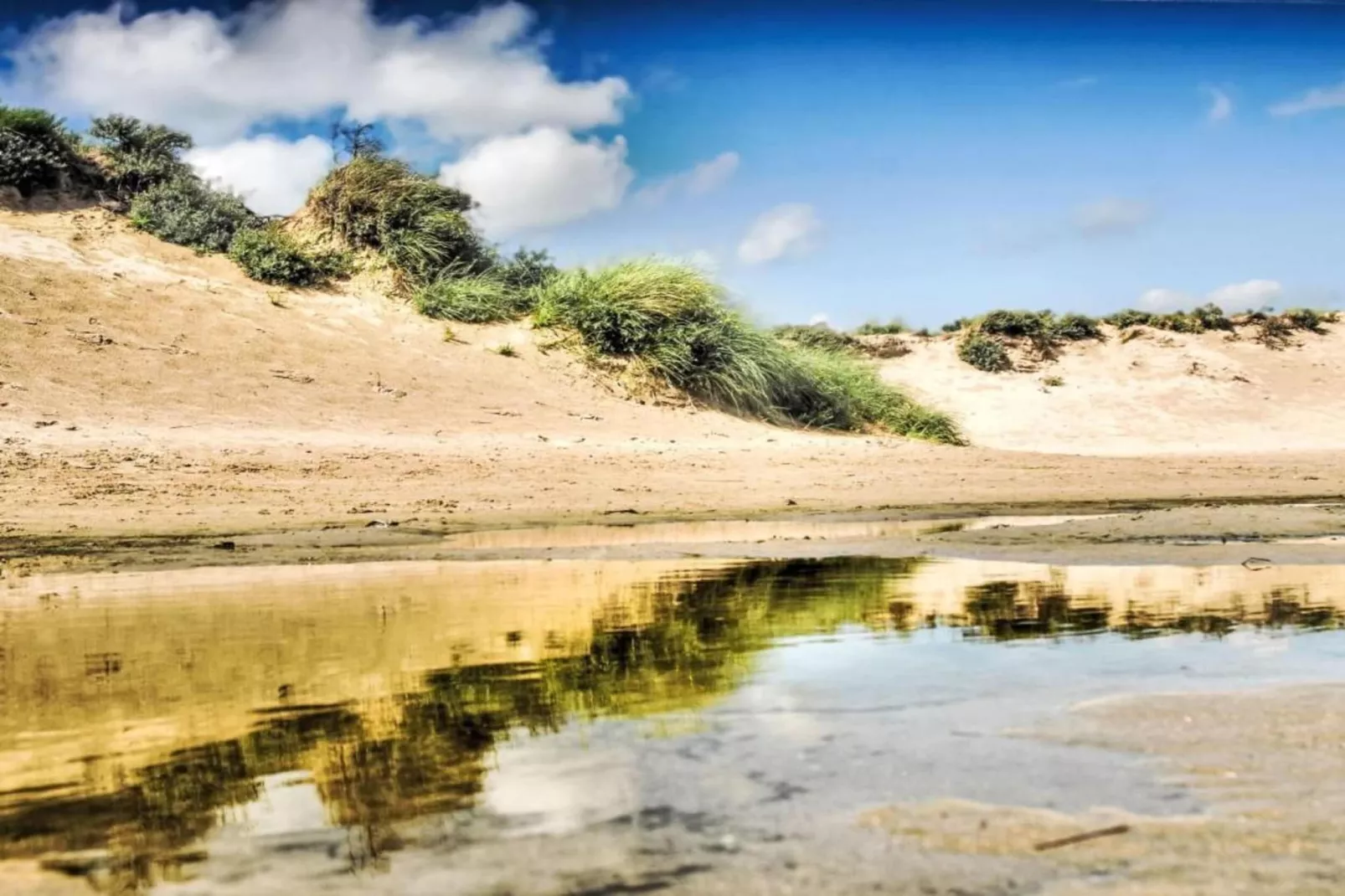 Bungalowpark 't Lappennest 2-Gebieden zomer 5km