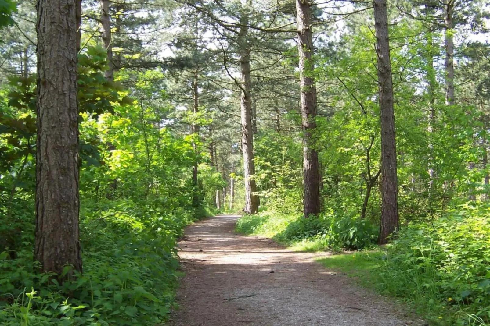 Bungalowpark de Gouden Spar 5-Gebieden zomer 5km