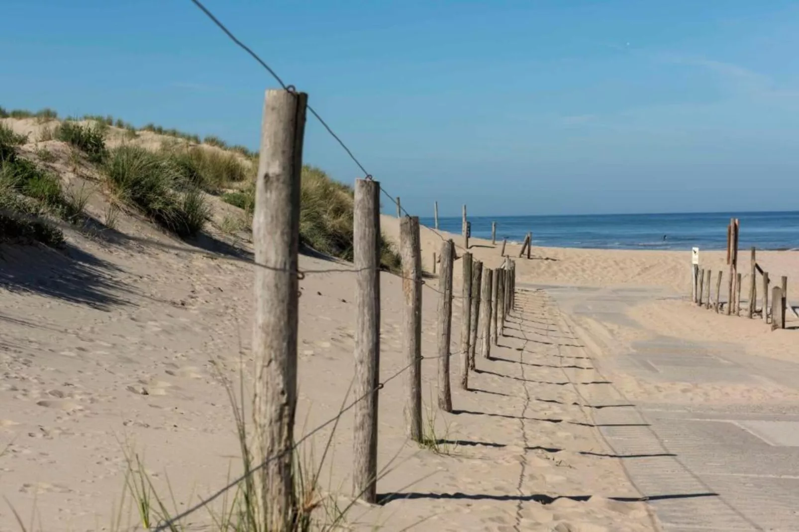 Bosch en Duyn-Gebieden zomer 20km