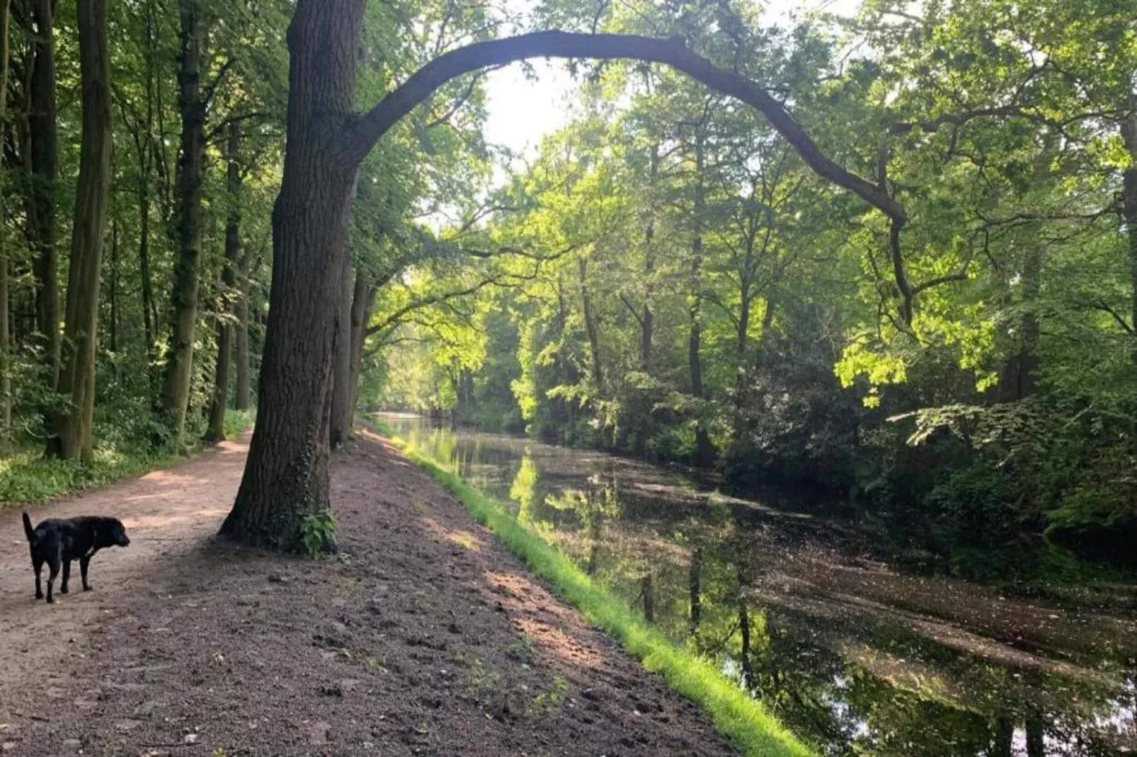 De Schone Leij-Gebieden zomer 20km