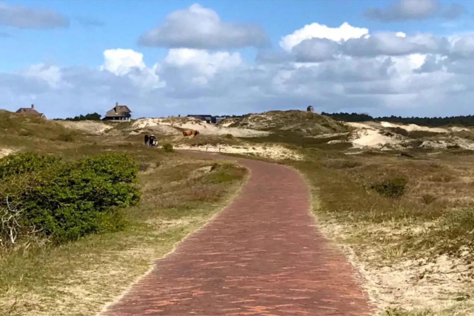 De Strandvogel-Gebieden zomer 20km