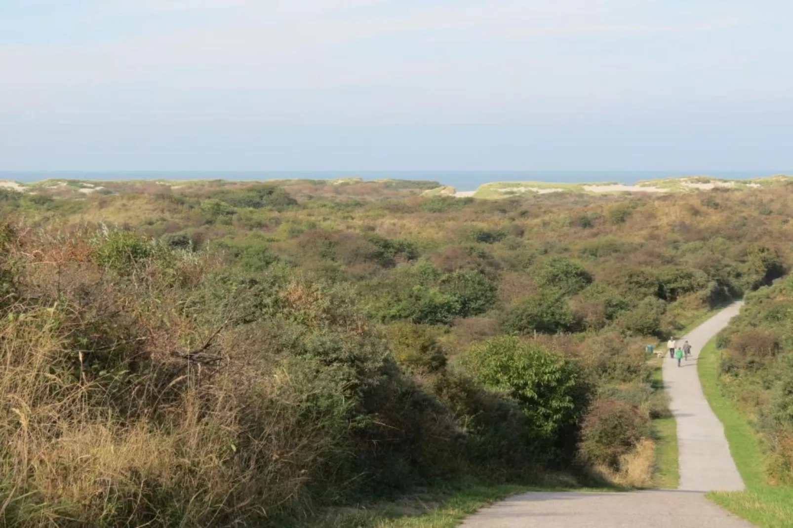 Vakantiepark de Soeten Haert 19-Gebieden zomer 1km
