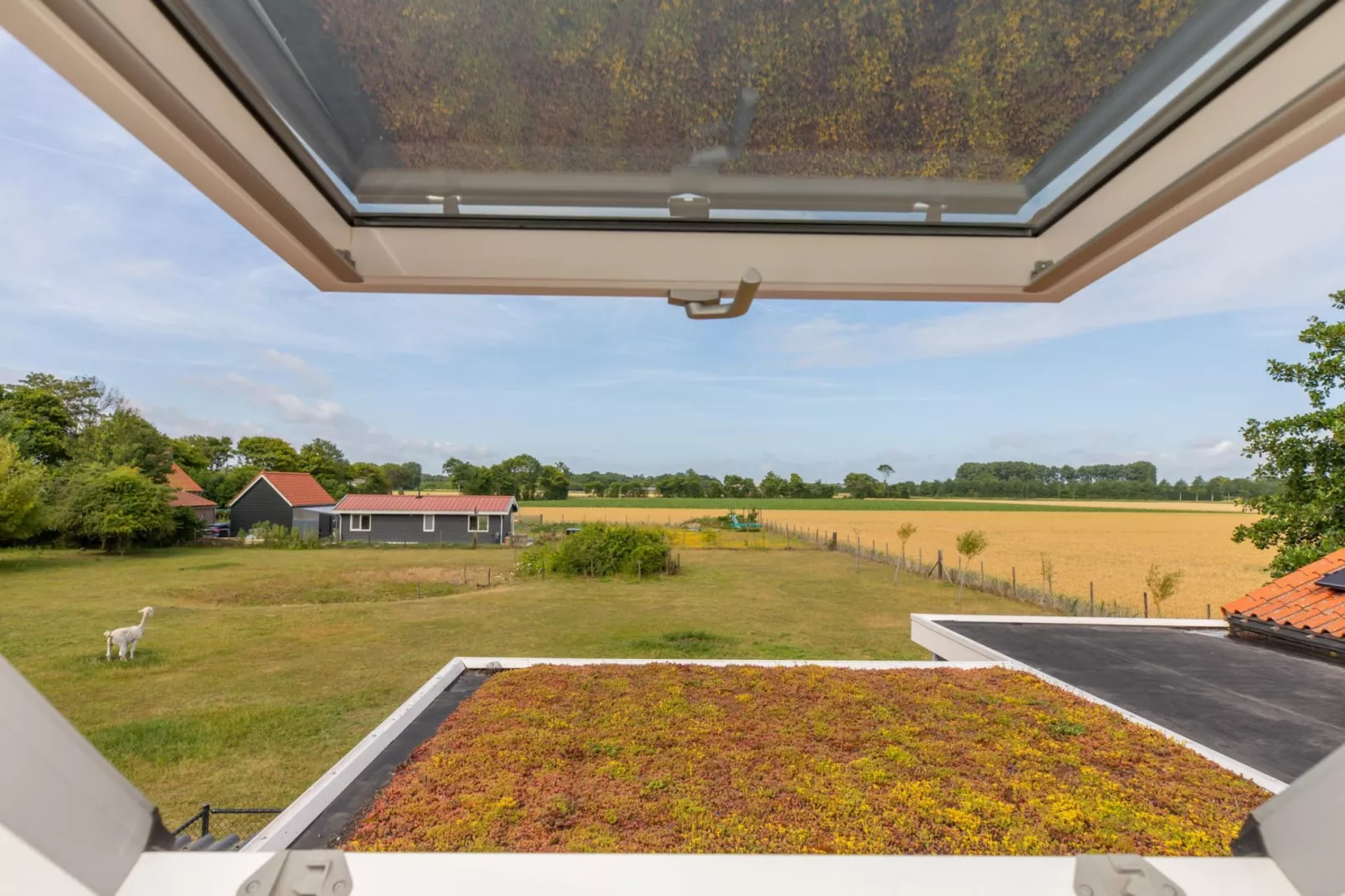 Vakantiehuis Groeneweg 3 'Jikkemien-Uitzicht zomer