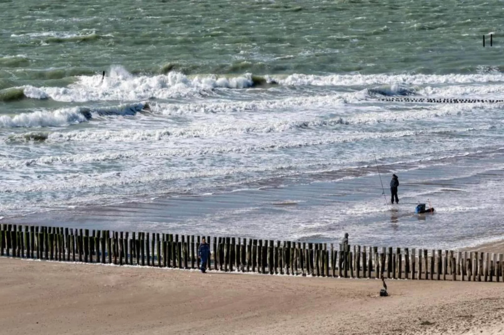 Aparthotel Zoutelande - 4 pers luxe appartement - huisdier-Gebieden zomer 1km