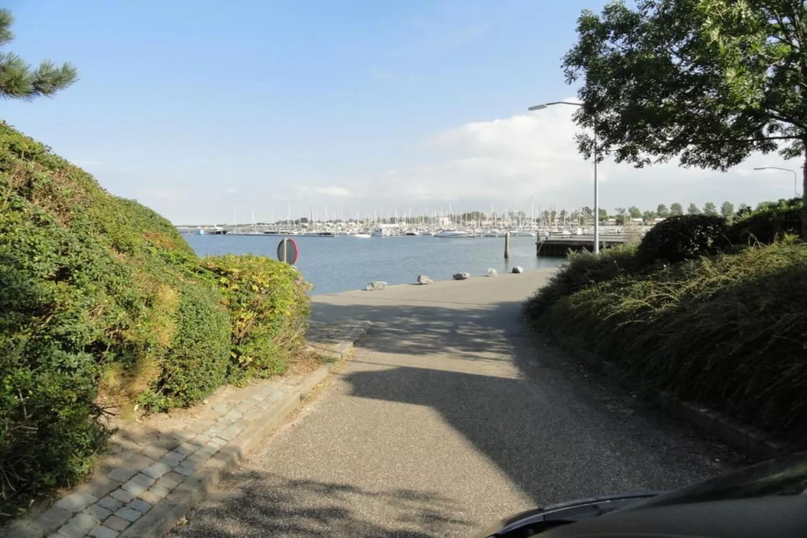 Cardium 33-Gebieden zomer 20km