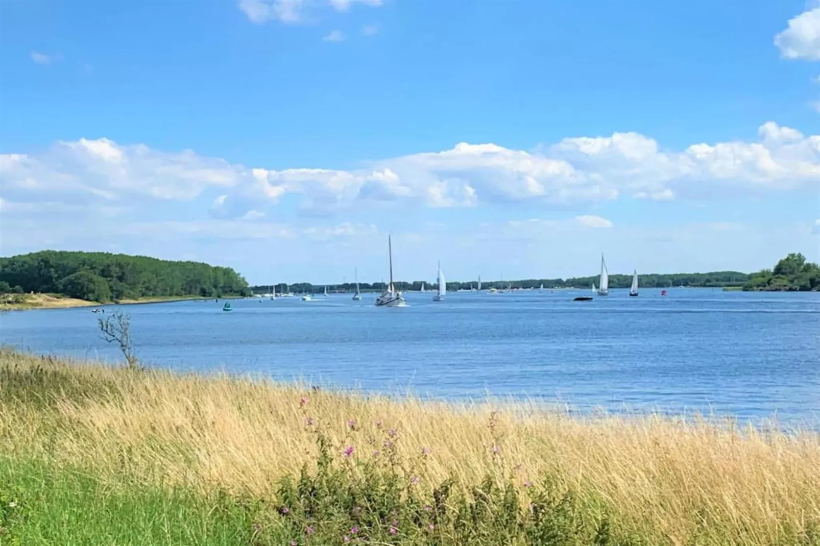 Roompot Beach Resort 4-Gebieden zomer 20km