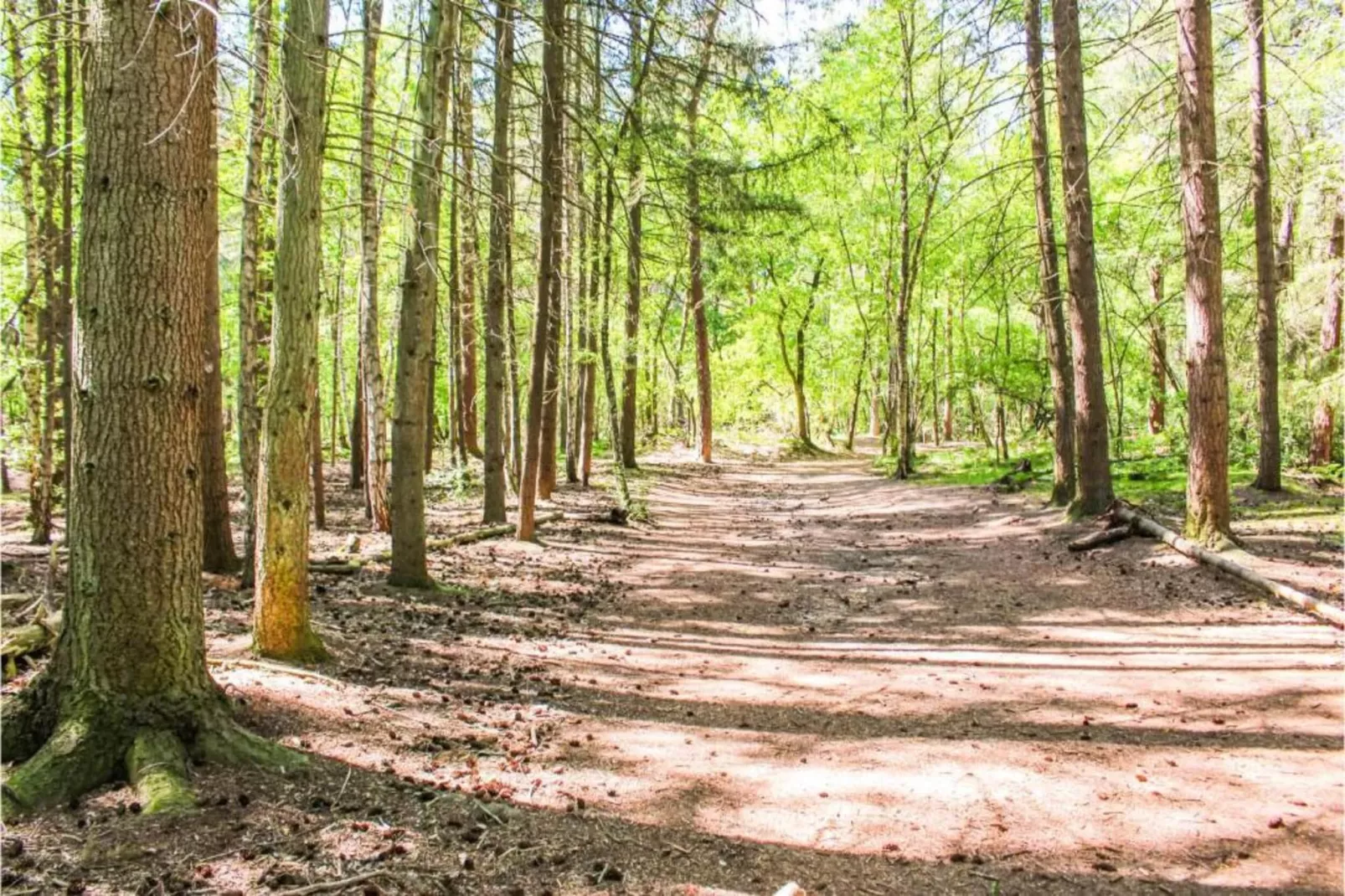 Recreatiepark Duinhoeve 3-Gebieden zomer 20km
