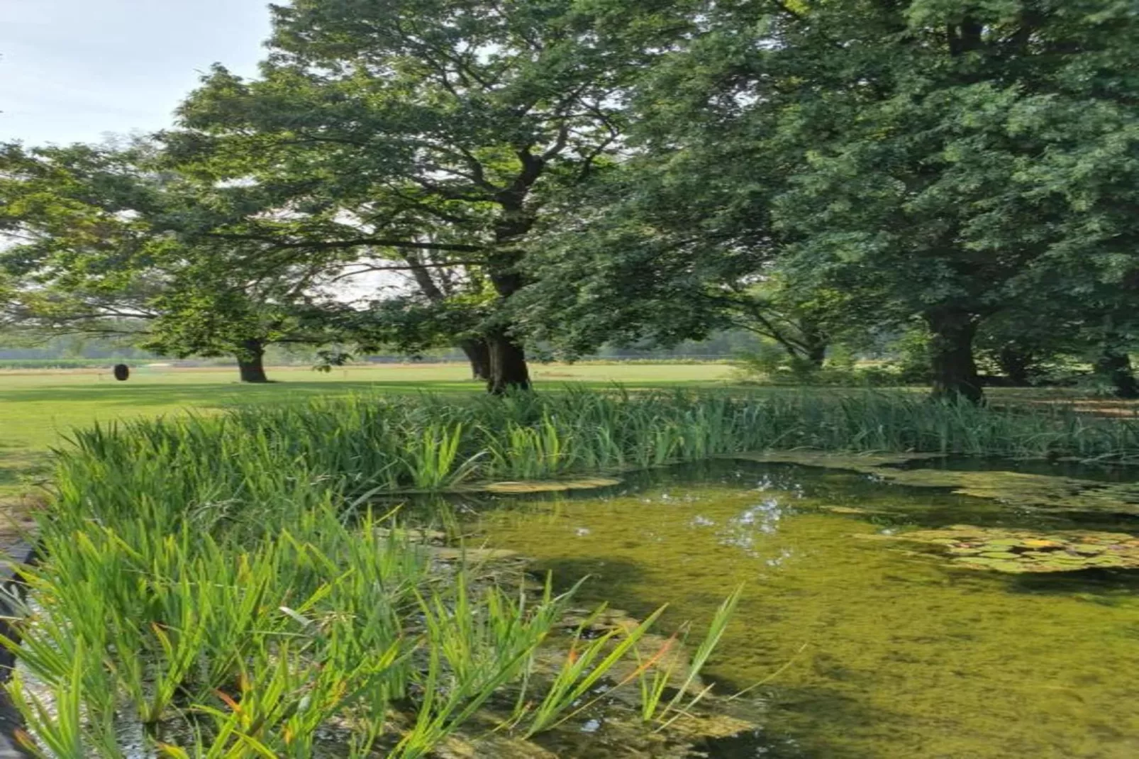 Parc de Kievit 2 - Gebieden zomer 20km