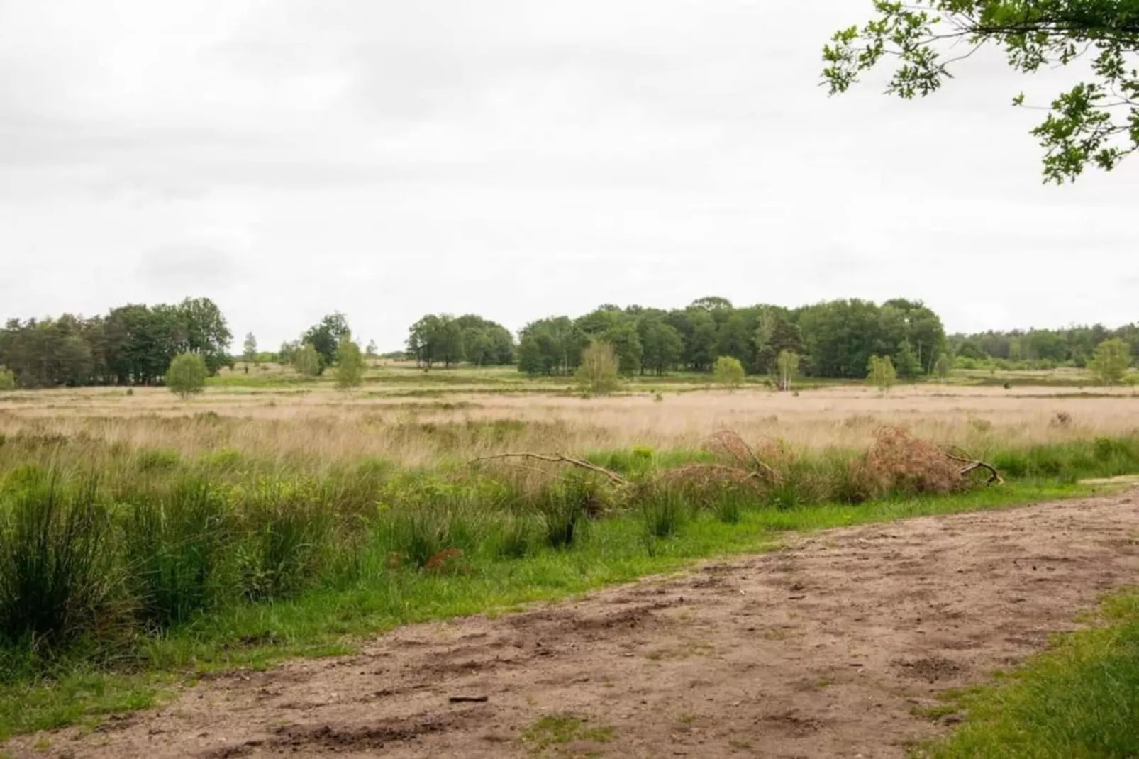 Bungalowpark Hoenderloo 1-Gebieden zomer 20km