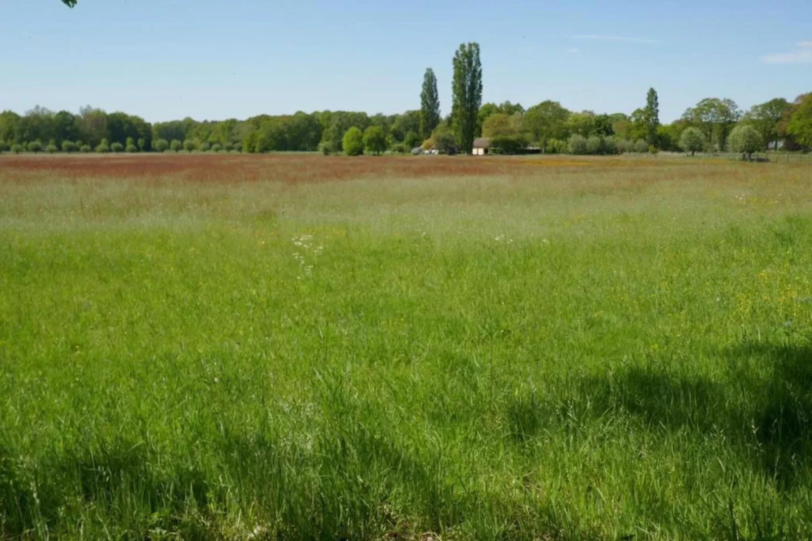 Recreatiebospark de Reehorst 2-Gebieden zomer 20km