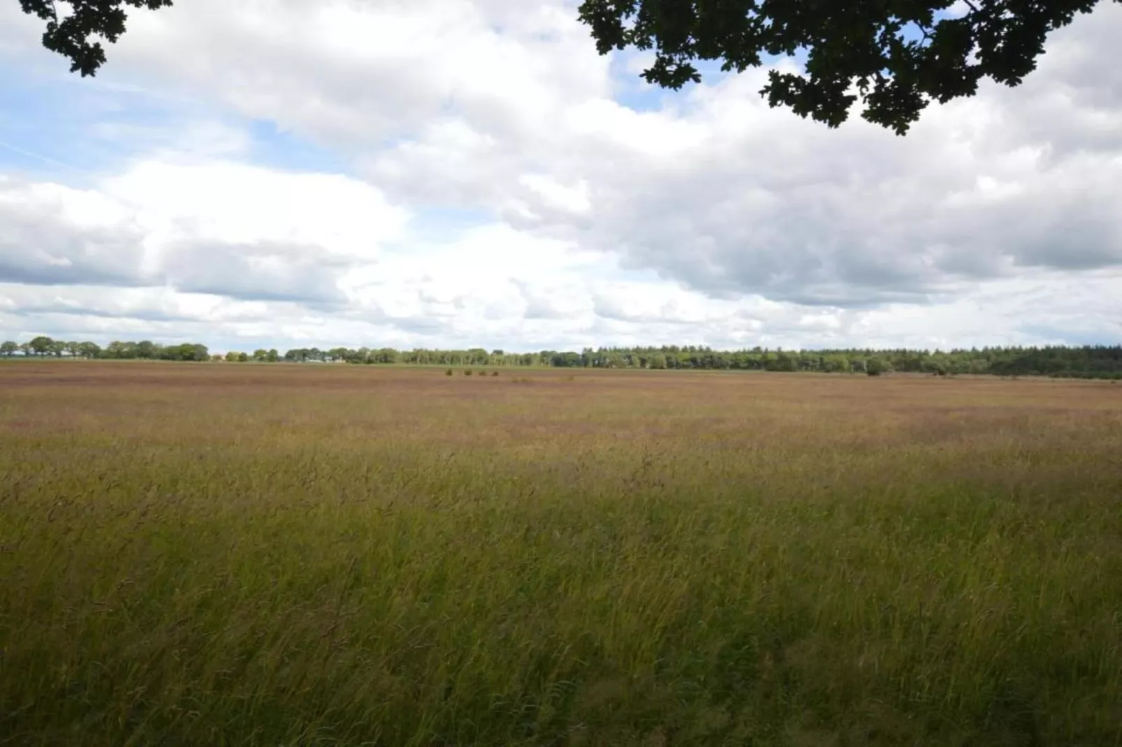 Hof van Salland 2-Gebieden zomer 5km