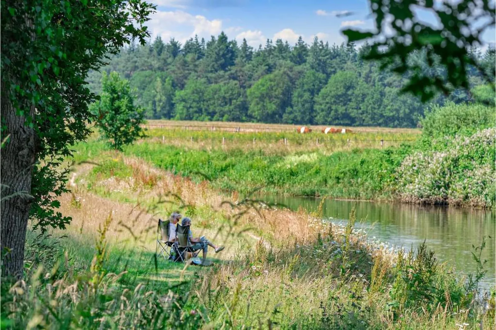 Vakantiepark Horsetellerie 7-Gebieden zomer 20km