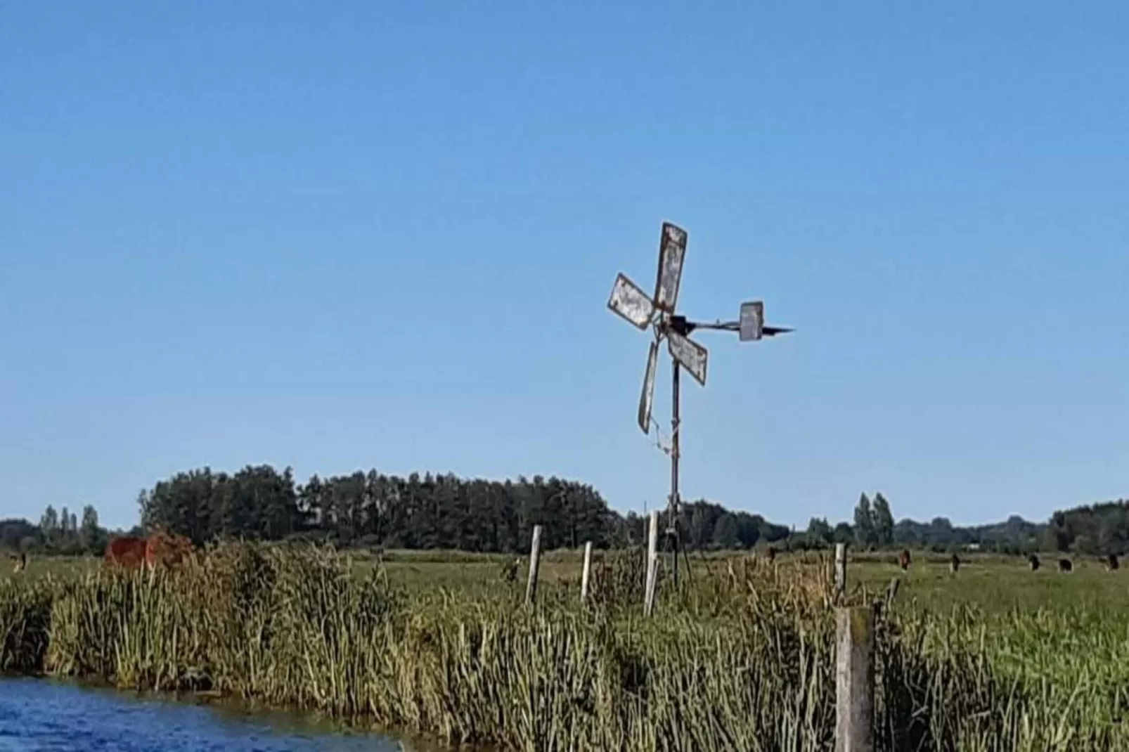 Waterpark Belterwiede 3-Gebieden zomer 20km