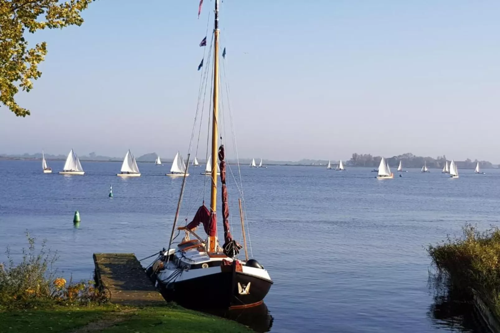 Scharsterlaan 9-Gebieden zomer 20km