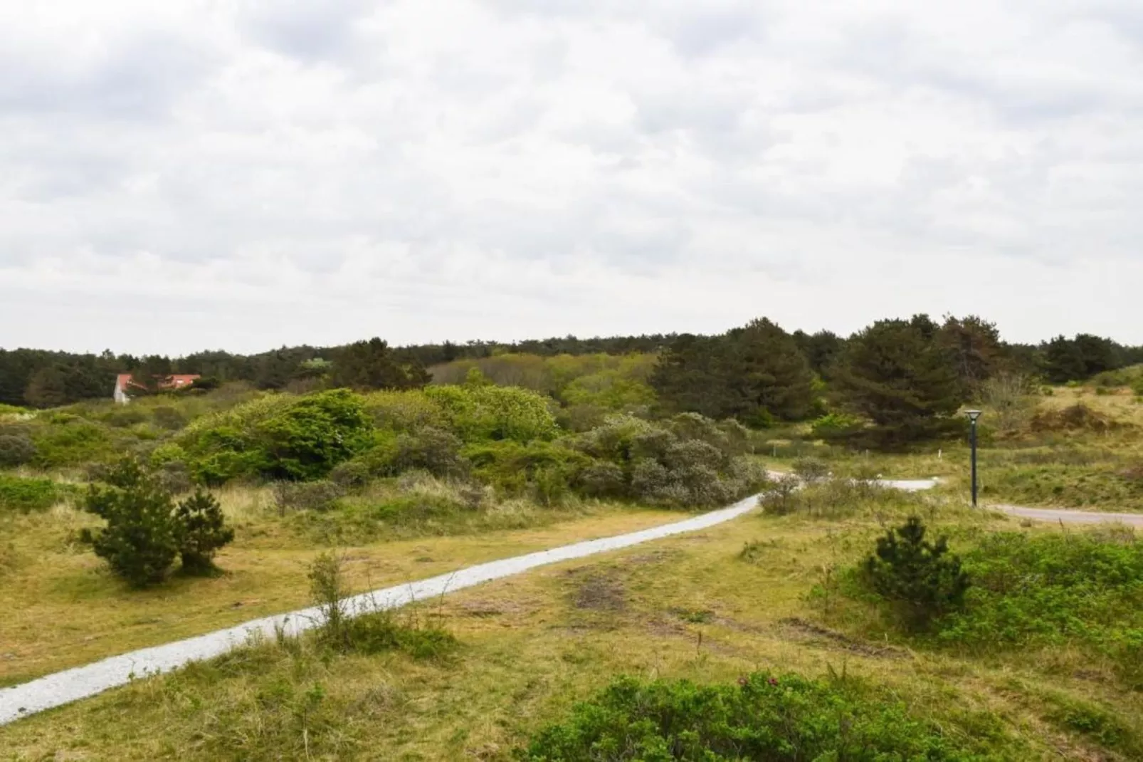 Skries-Gebieden zomer 20km
