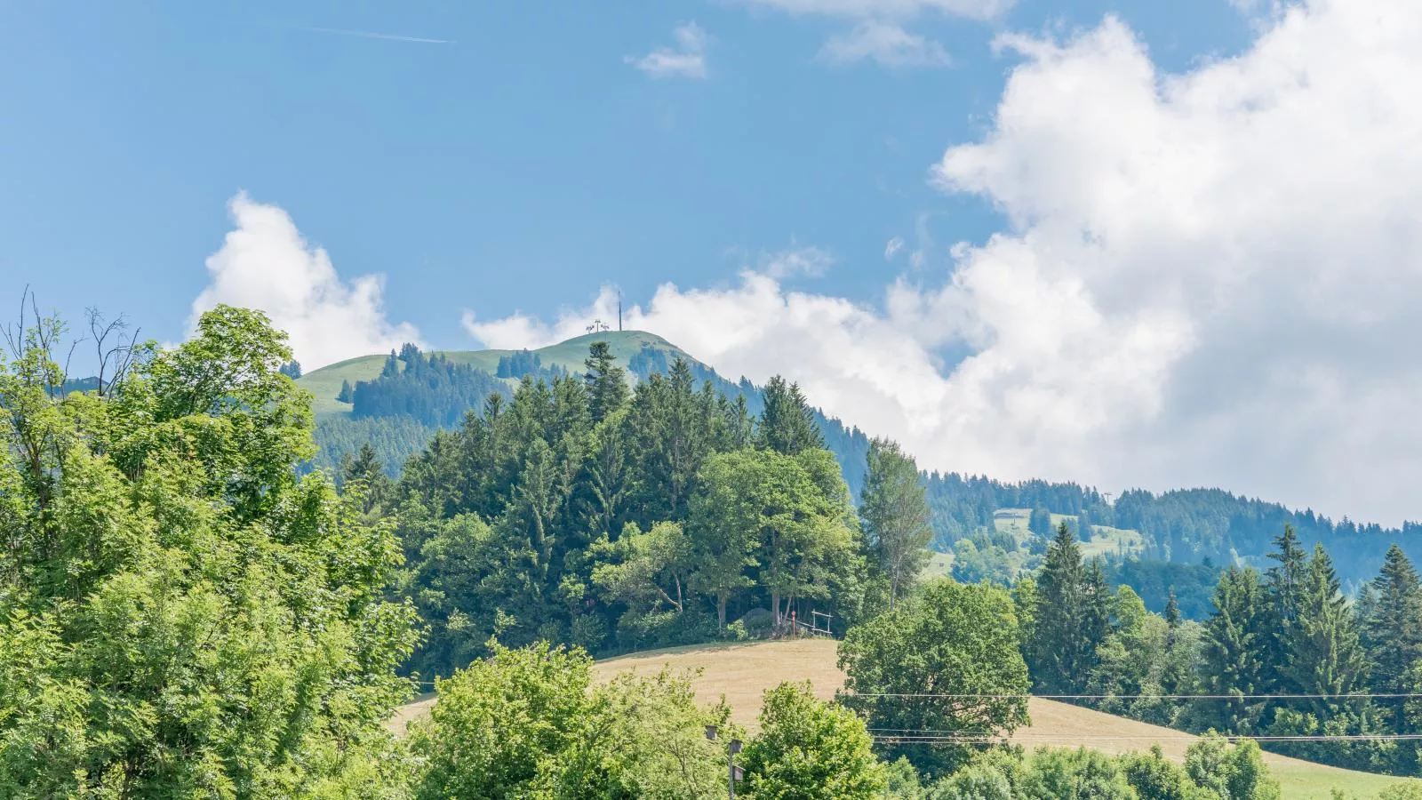 Marktblick-Uitzicht zomer