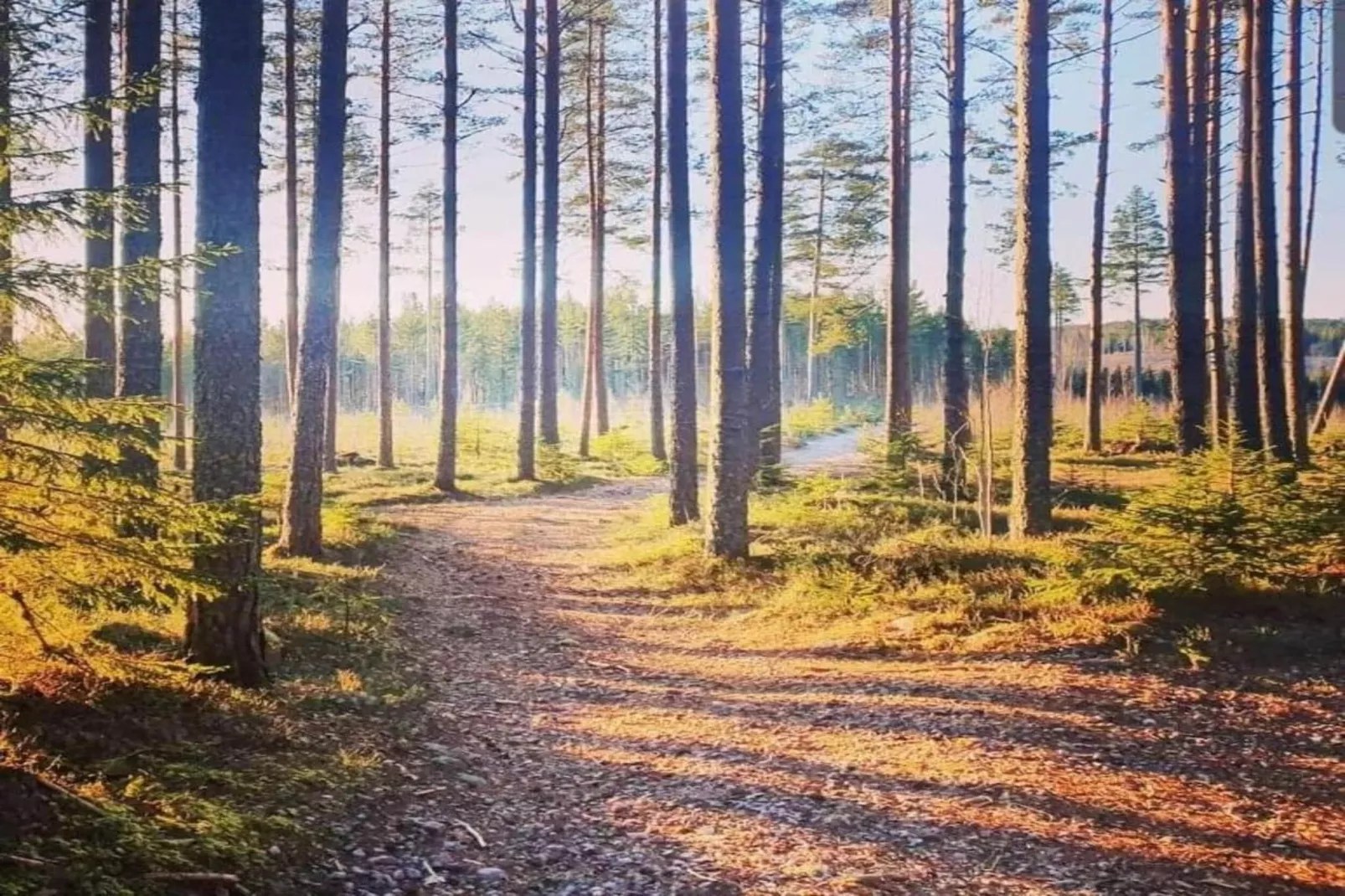 Värmlands Sjö och Fjäll Camping 14-Gebieden zomer 20km
