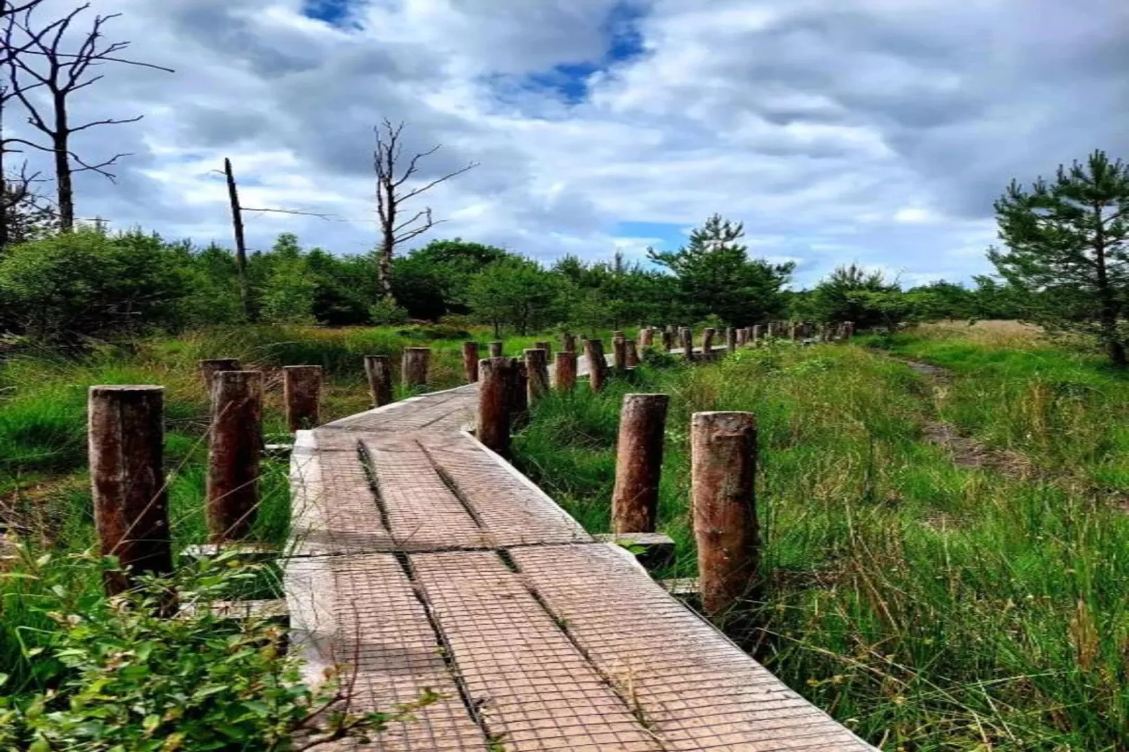 RCN Vakantiepark de Noordster 3-Gebieden zomer 20km